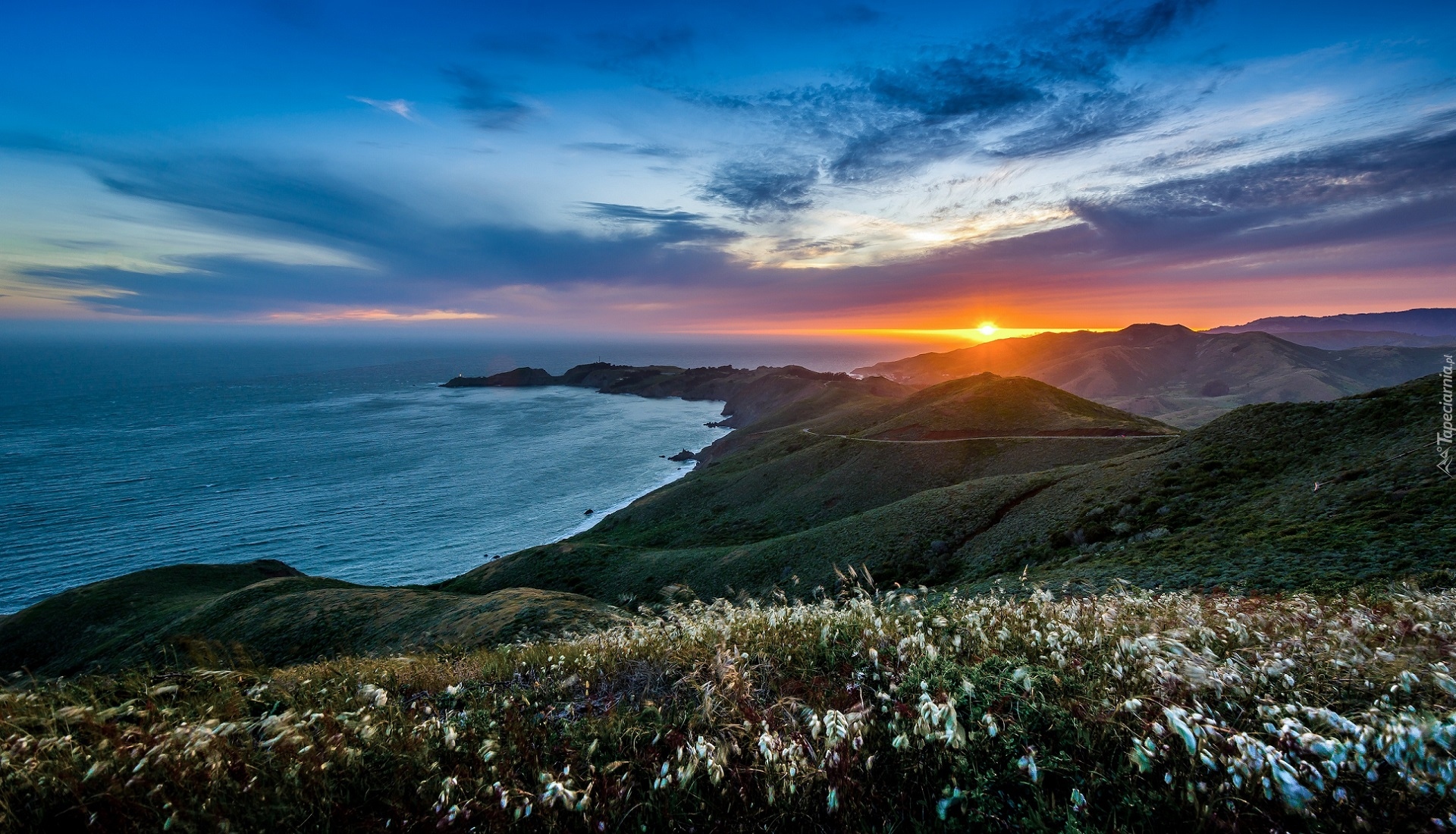 Stany Zjednoczone, Kalifornia, Sausalito, Półwysep Marin Headlands, Wybrzeże, Wzgórza, Roślinność, Ocean, Zachód słońca, Chmury