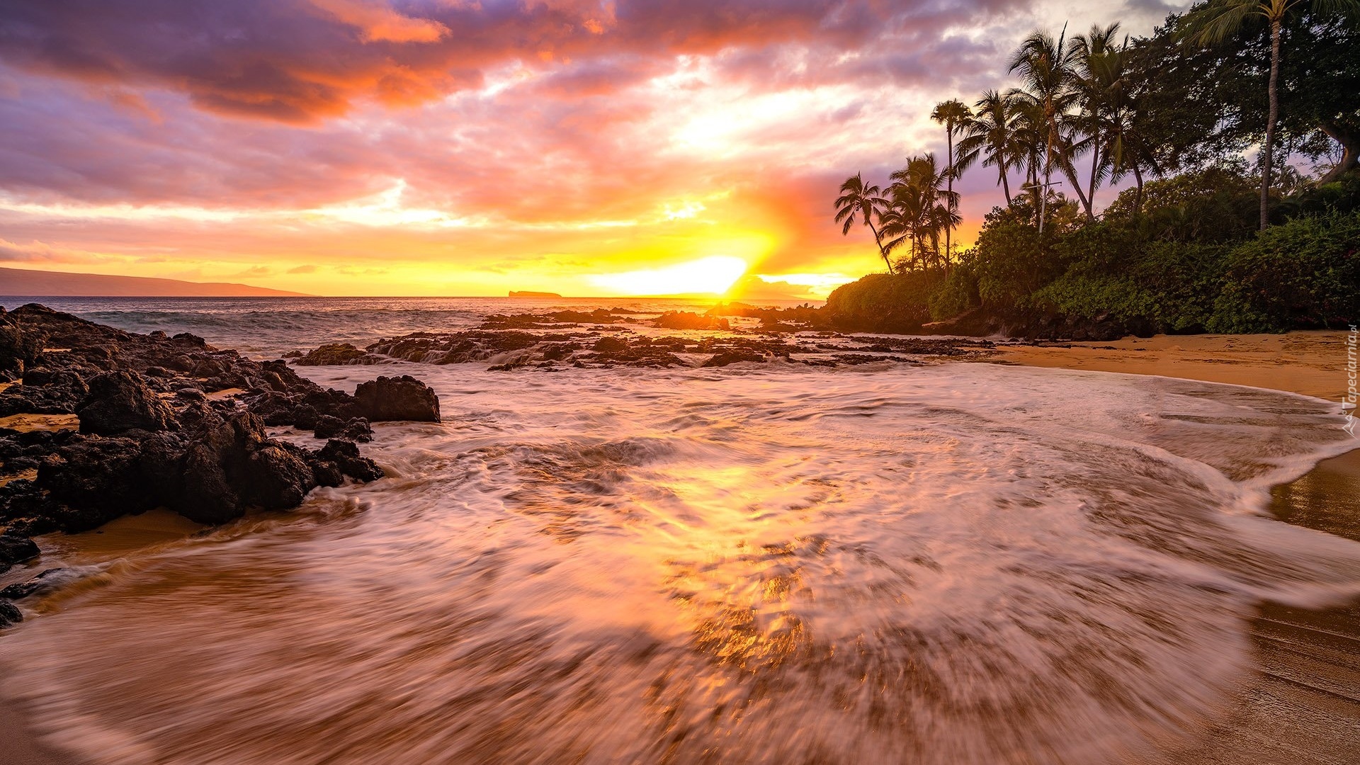 Morze, Palmy, Plaża, Zachód słońca, Chmury, Secret Beach, Maui, Hawaje, Stany Zjednoczone