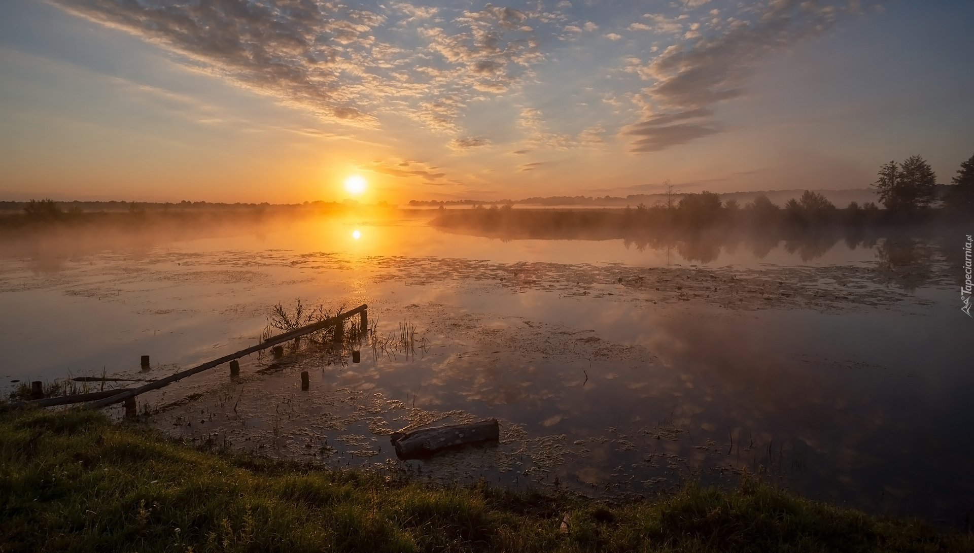 Chmury, Zachód słońca, Drzewa, Jezioro, Mgła