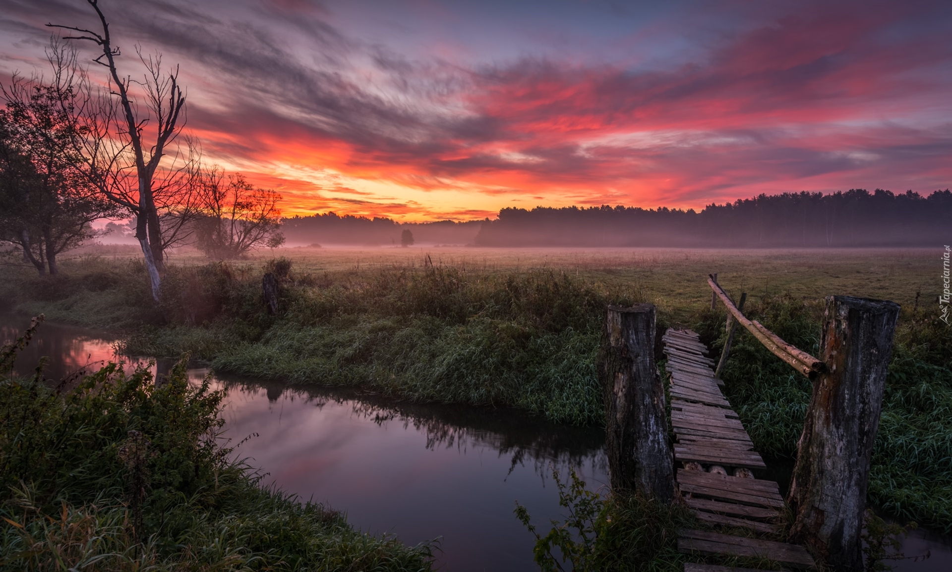 Pole, Rzeka, Mostek, Drzewa, Las, Zachód słońca, Mgła, Chmury