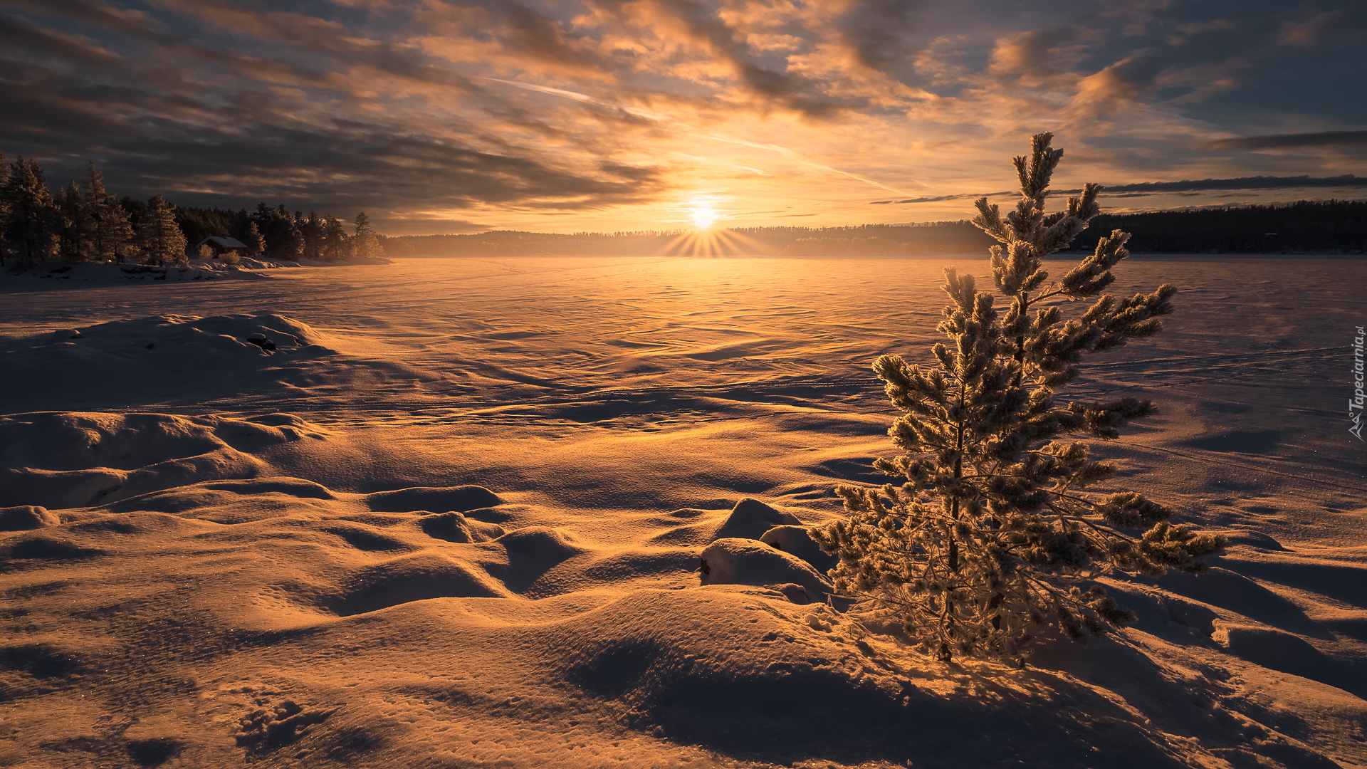 Zima, Zachód słońca, Zaśnieżone, Jezioro, Drzewa, Ringerike, Norwegia