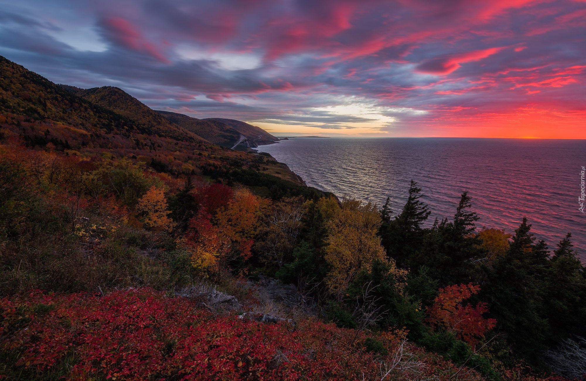 Kanada, Nowa Szkocja, Park Narodowy Cape Breton Highlands, Jesień, Wzgórza, Drzewa, Zachód słońca