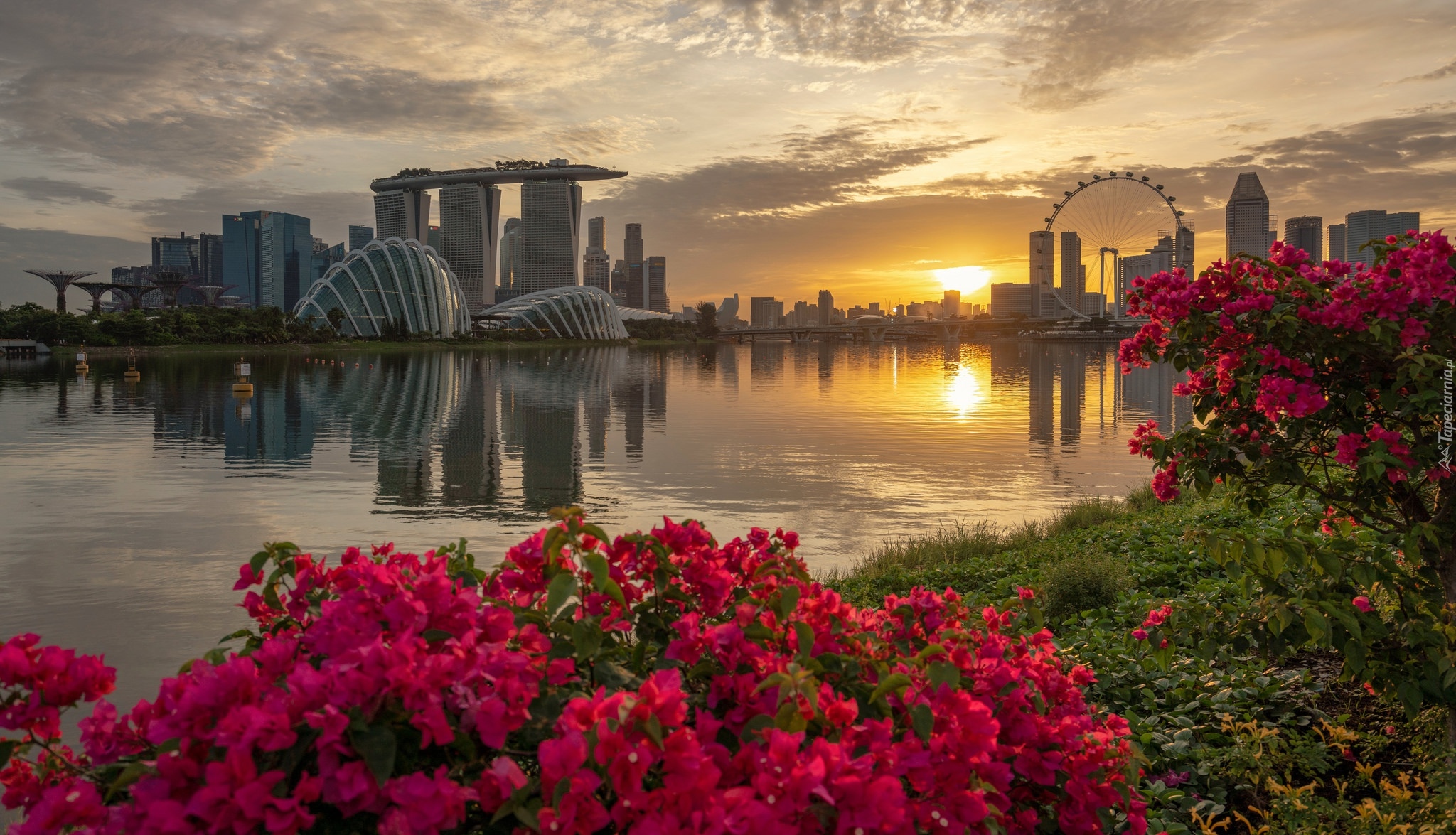 Zatoka Marina Bay, Hotel Marina Bay Sands, Wieżowce, Singapur, Most, Rzeka, Kwiaty, Zachód słońca