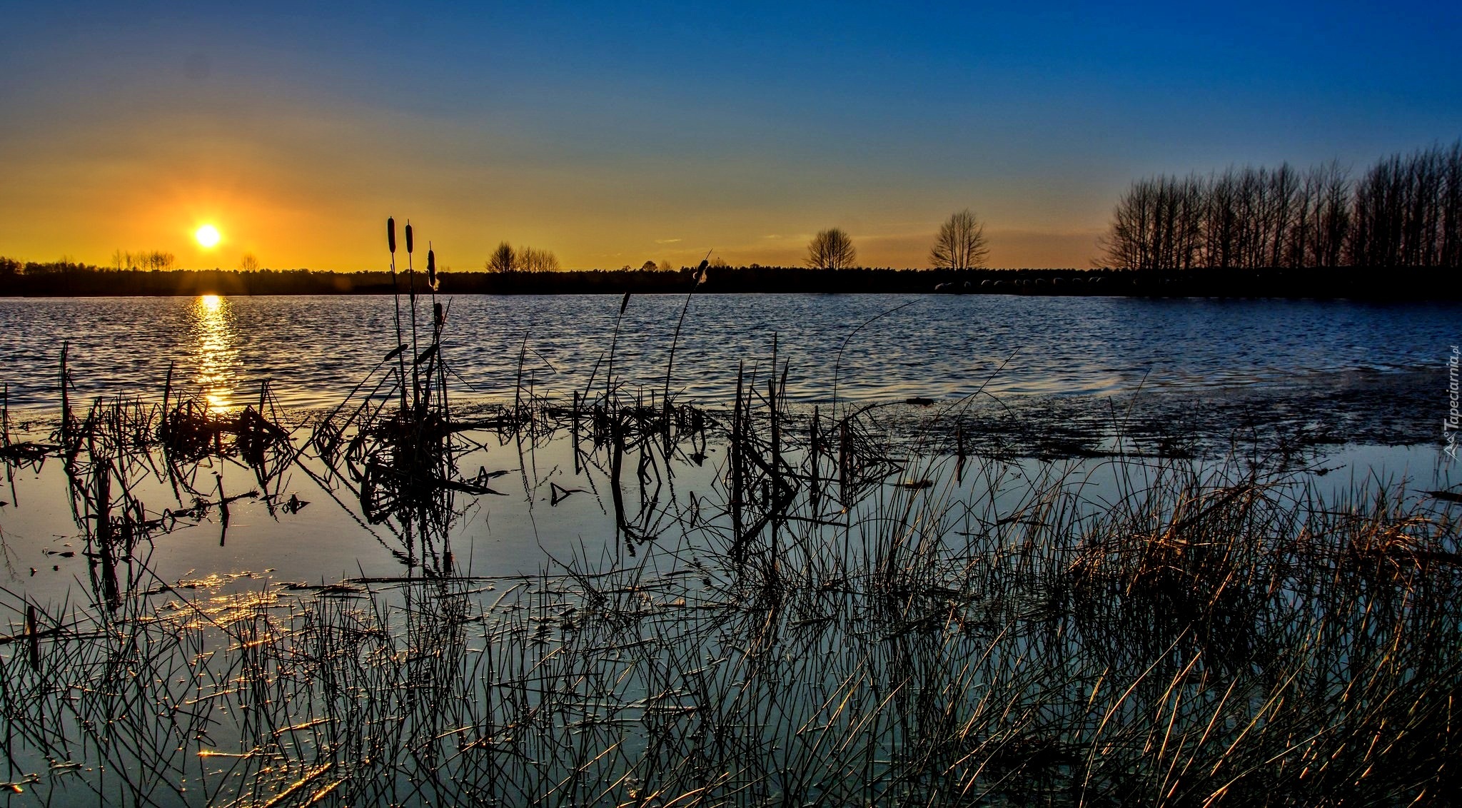 Szuwary, Jezioro, Zachód, Słońca