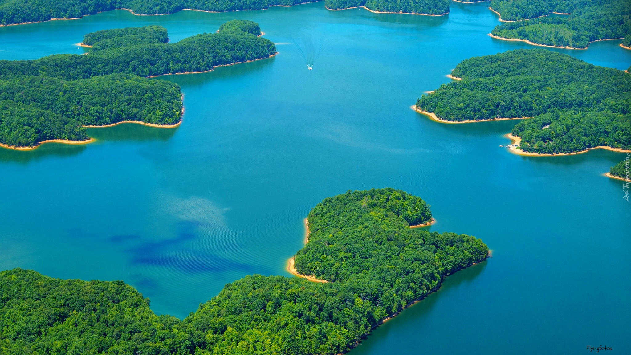 Jezioro, Laurel River Lake, Zadrzewione, Półwyspy, Kentucky, Stany Zjednoczone