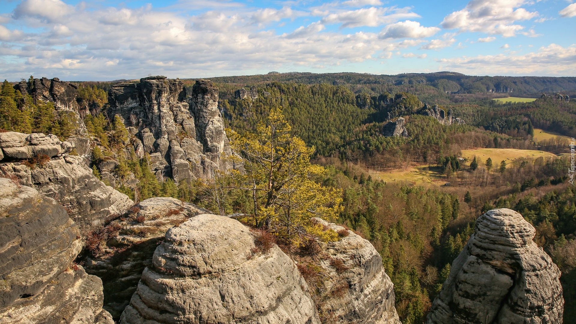 Skały, Formacja skalna, Drzewa, Góry Połabskie, Szwajcaria Saksońska, Niemcy