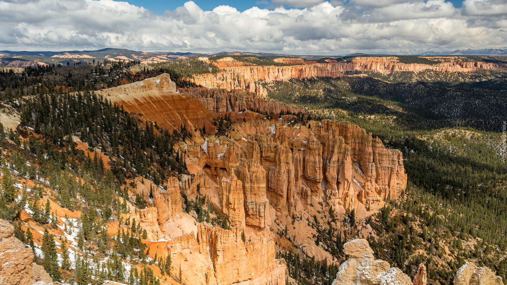 Skały, Drzewa, Kanion, Park Narodowy Bryce Canyon, Utah, Stany Zjednoczone