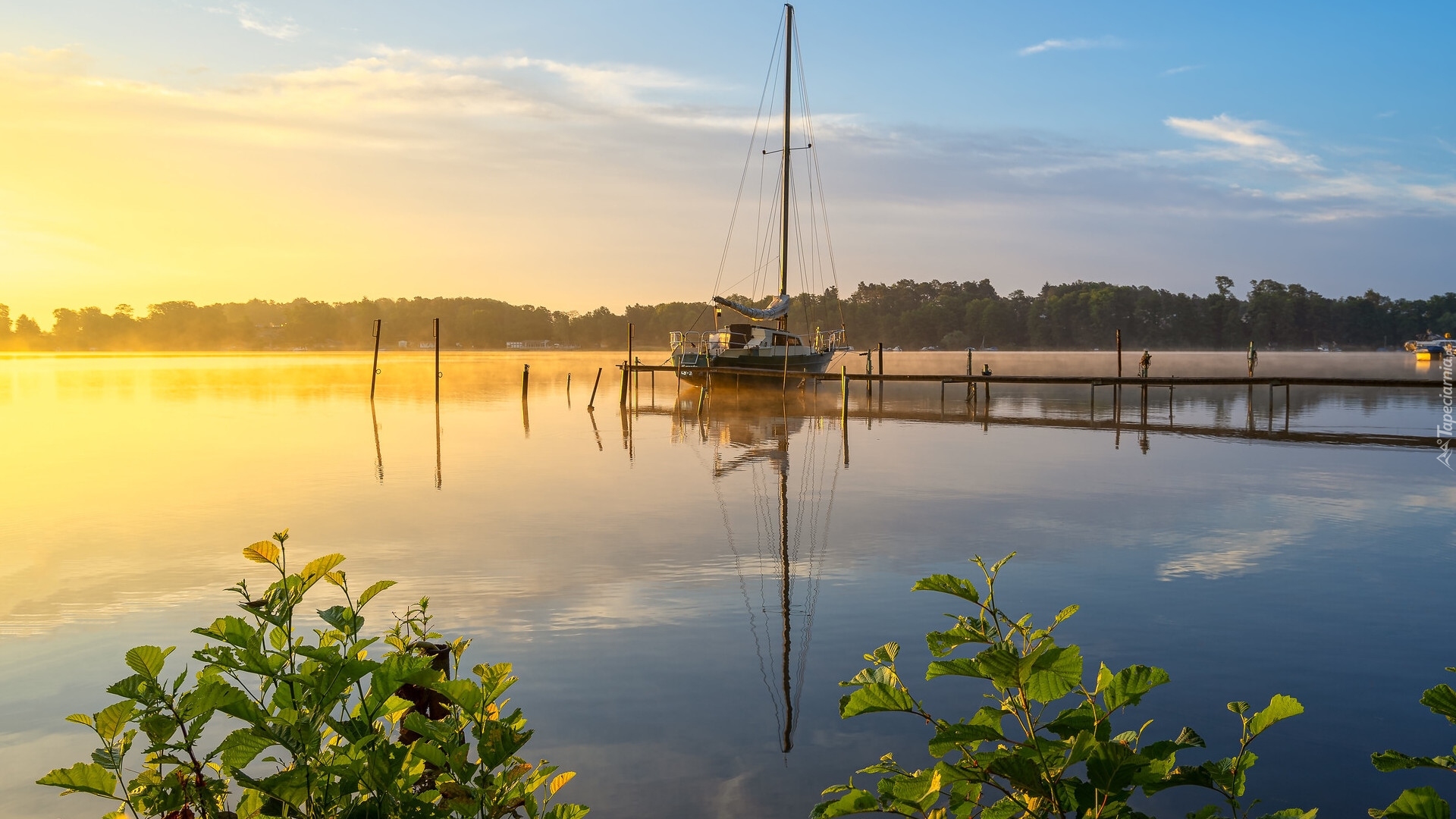 Wschód słońca, Jezioro Schwielochsee, Żaglówka, Pomost, Drzewa, Niemcy