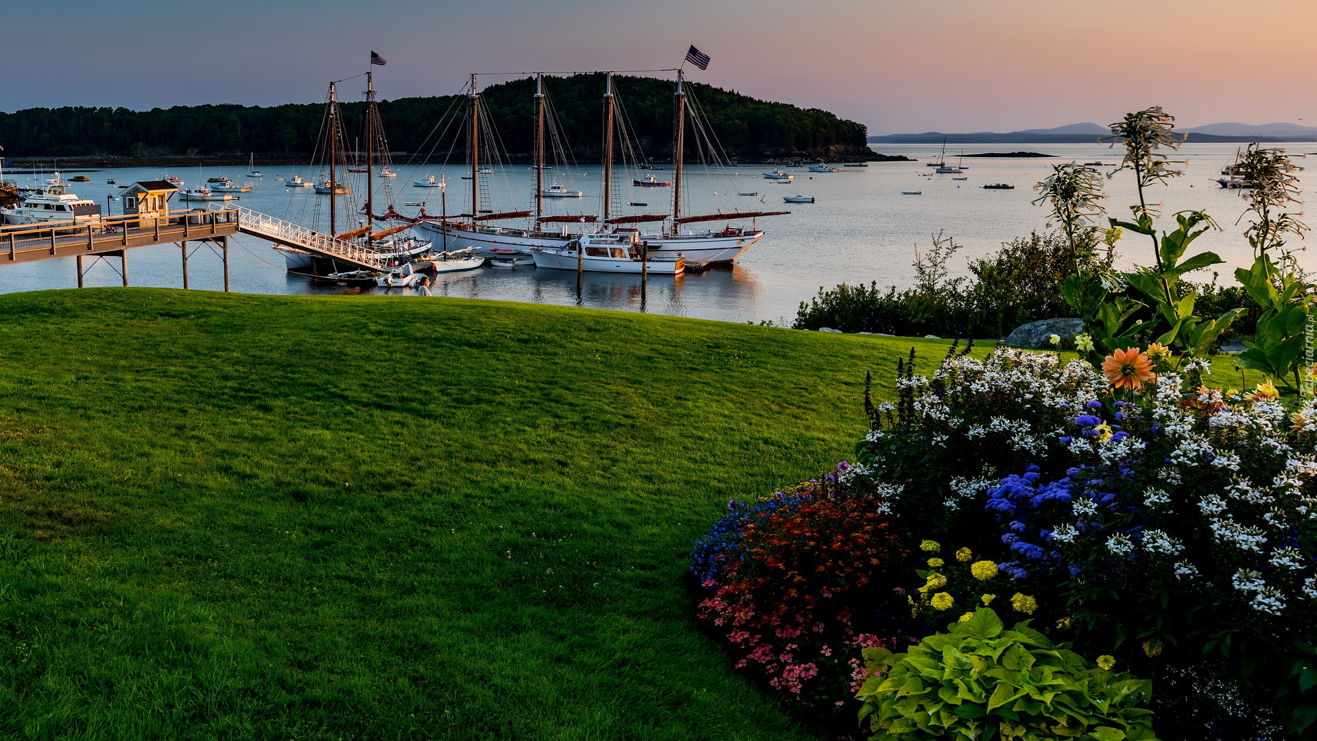 Przystań, Żaglówki, Jezioro, Rabatka, Kwiaty, Bar Harbor, Stan Maine, Stany Zjednoczone