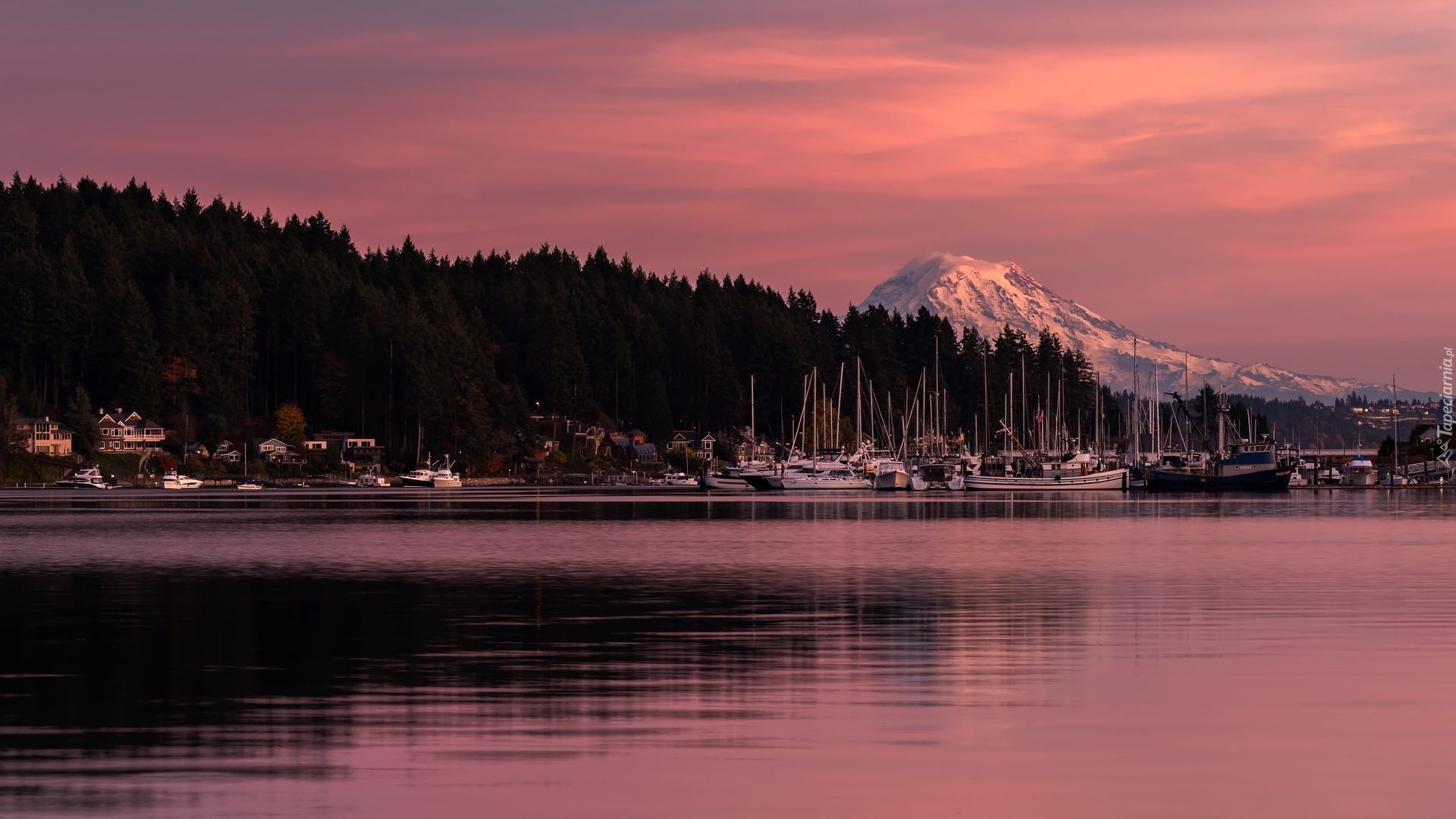 Port, Przystań, Żaglówki, Jezioro, Zatoka Gig Harbor, Góra, Mount Rainier, Drzewa, Zachód słońca, Stan Waszyngton, Stany Zjednoczone