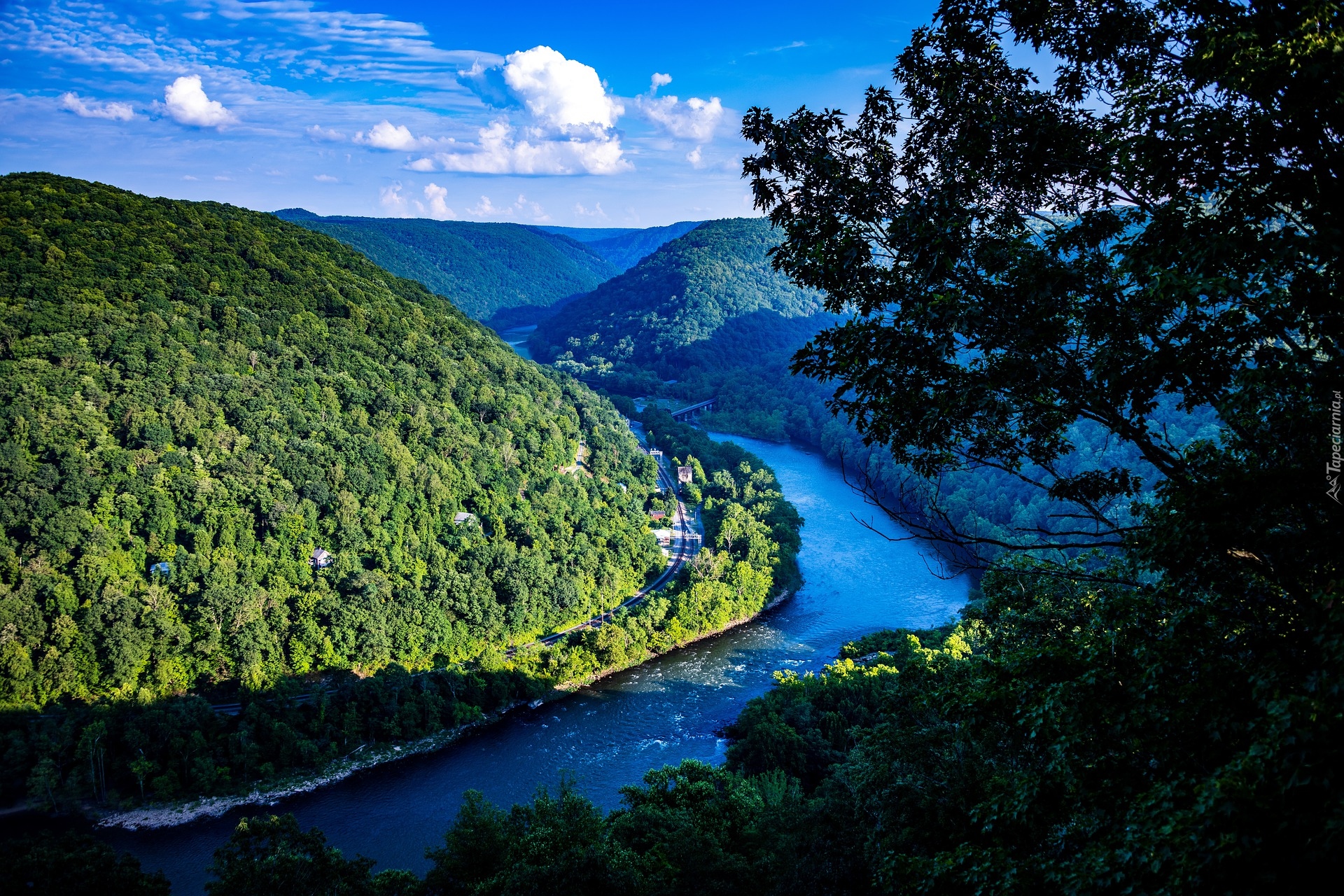 Lasy, Góry, Rzeka, New River, Wirginia Zachodnia, Stany Zjednoczone