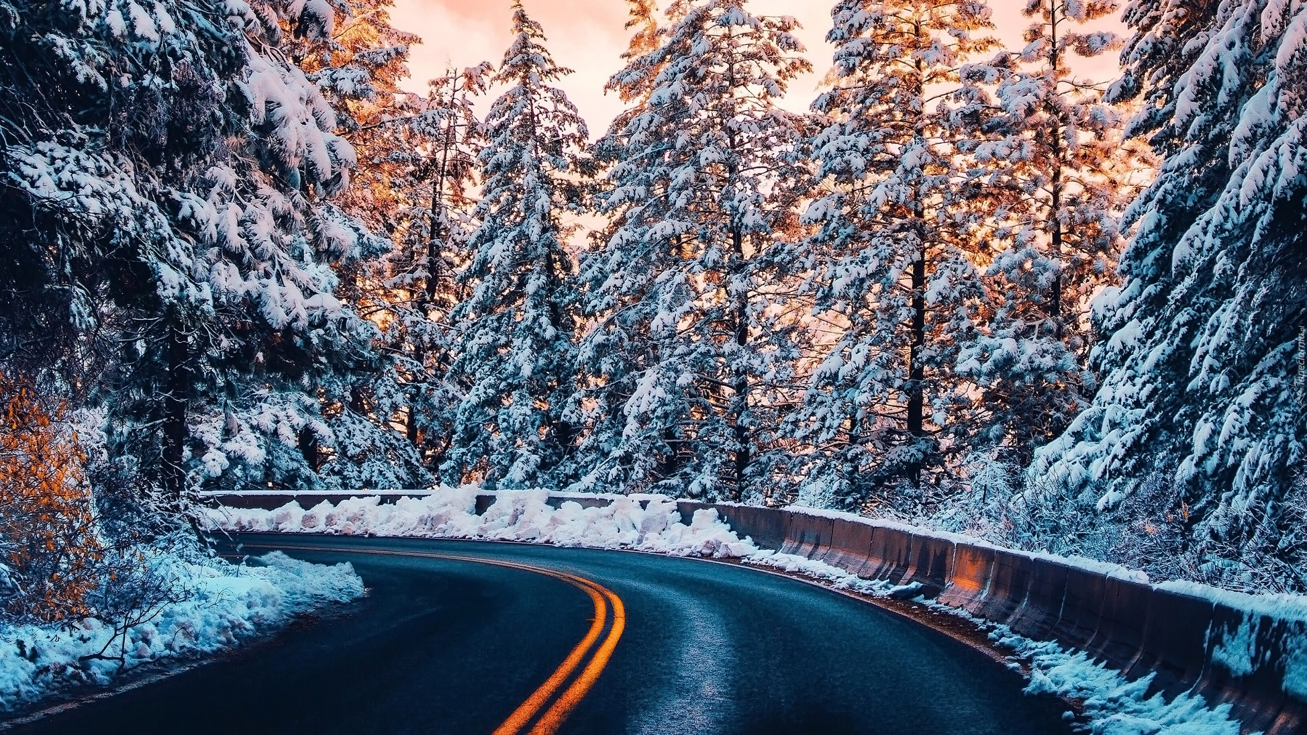 Zima, Droga, Śnieg, Drzewa, Zakręt