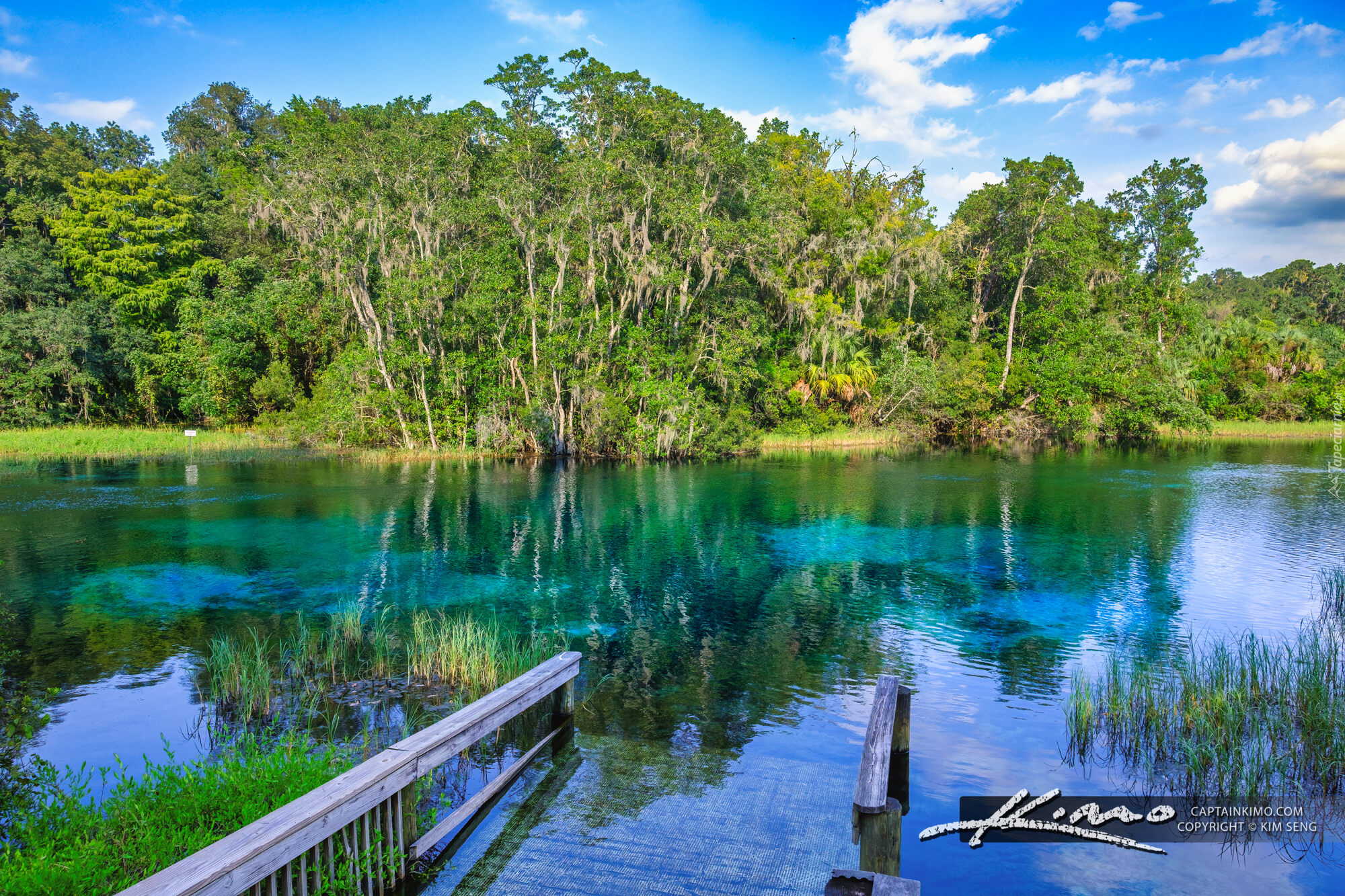Stany Zjednoczone, Floryda, Park Stanowy Rainbow Springs, Jezioro, Pomost, Szuwary, Drzewa