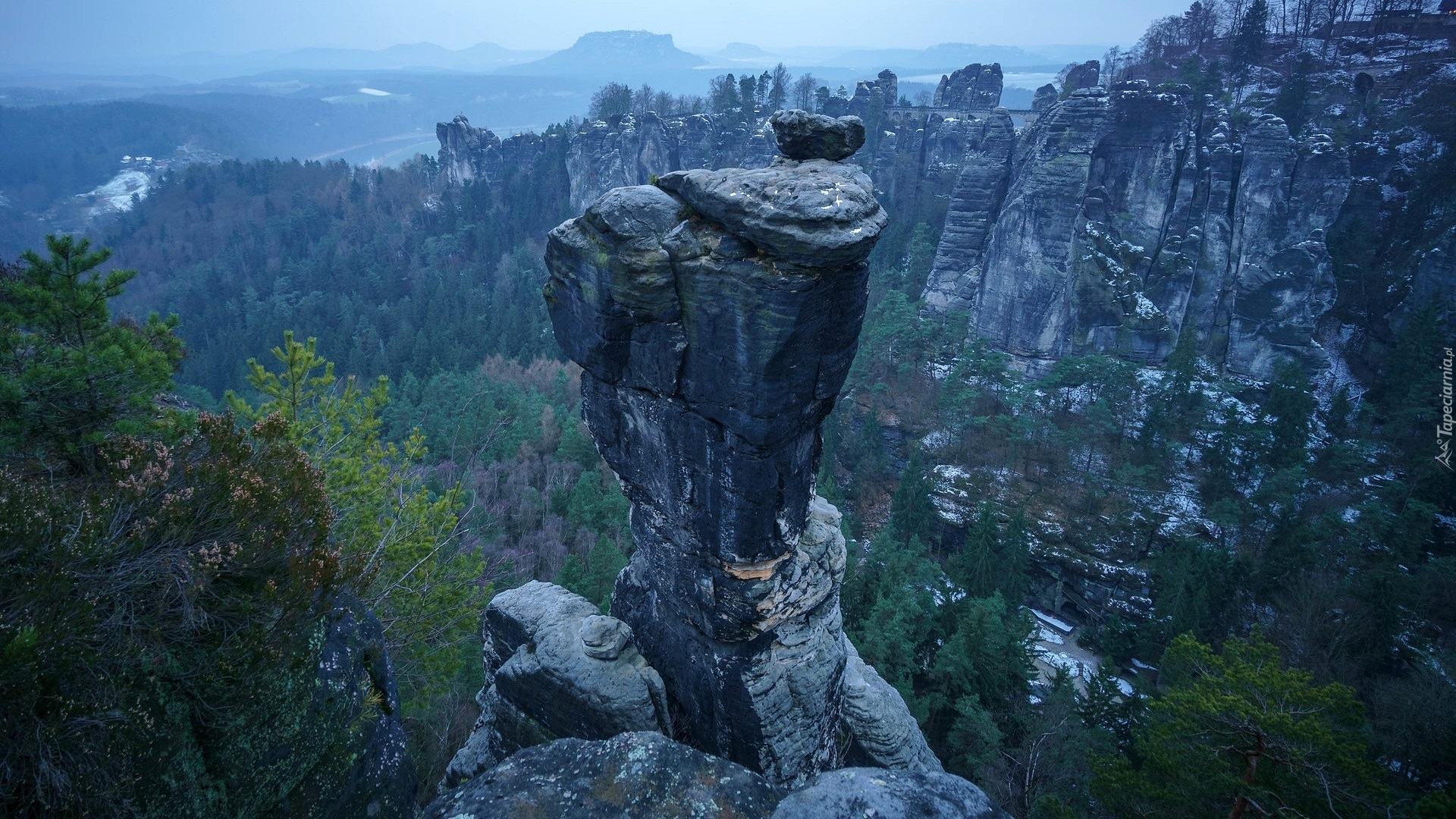 Góry, Skały, Drzewa, Park Narodowy Saskiej Szwajcarii, Niemcy