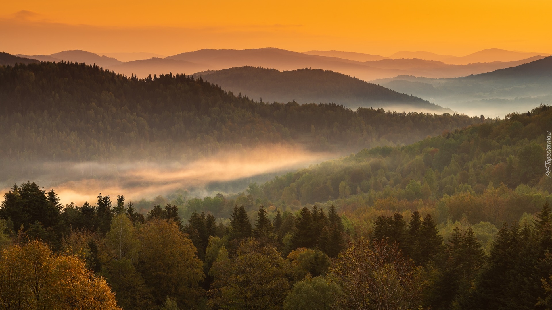 Góry, Wzgórza, Lasy, Mgła