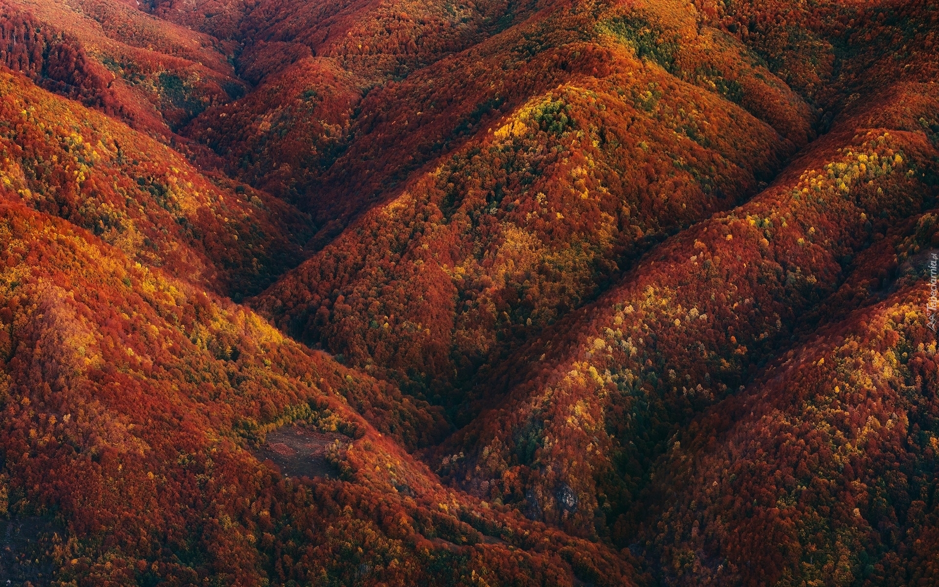 Góry, Lasy, Jesień, Kolorowe, Drzewa