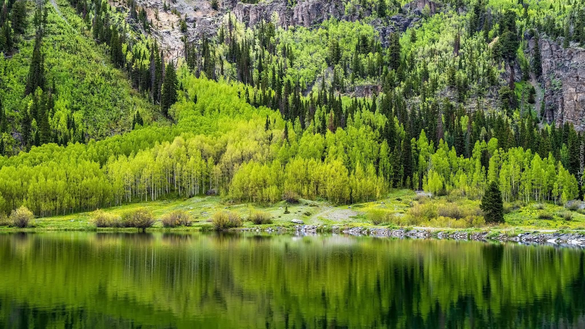 Jezioro, Crystal Lake, Kolorado, Stany Zjednoczone, Drzewa, Góry