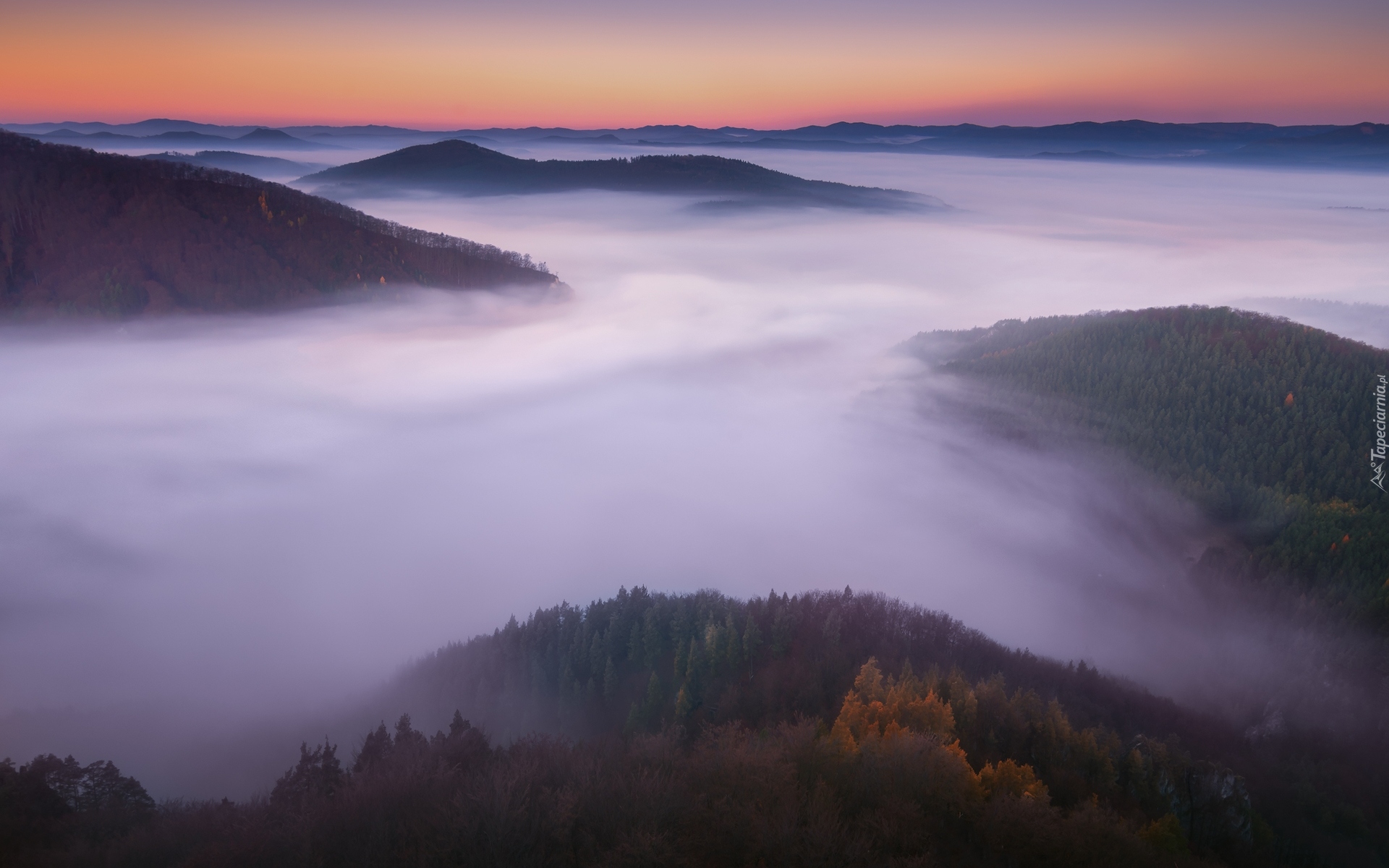 Sulov, Słowacja, Góry, Mgła, Chmury, Lasy