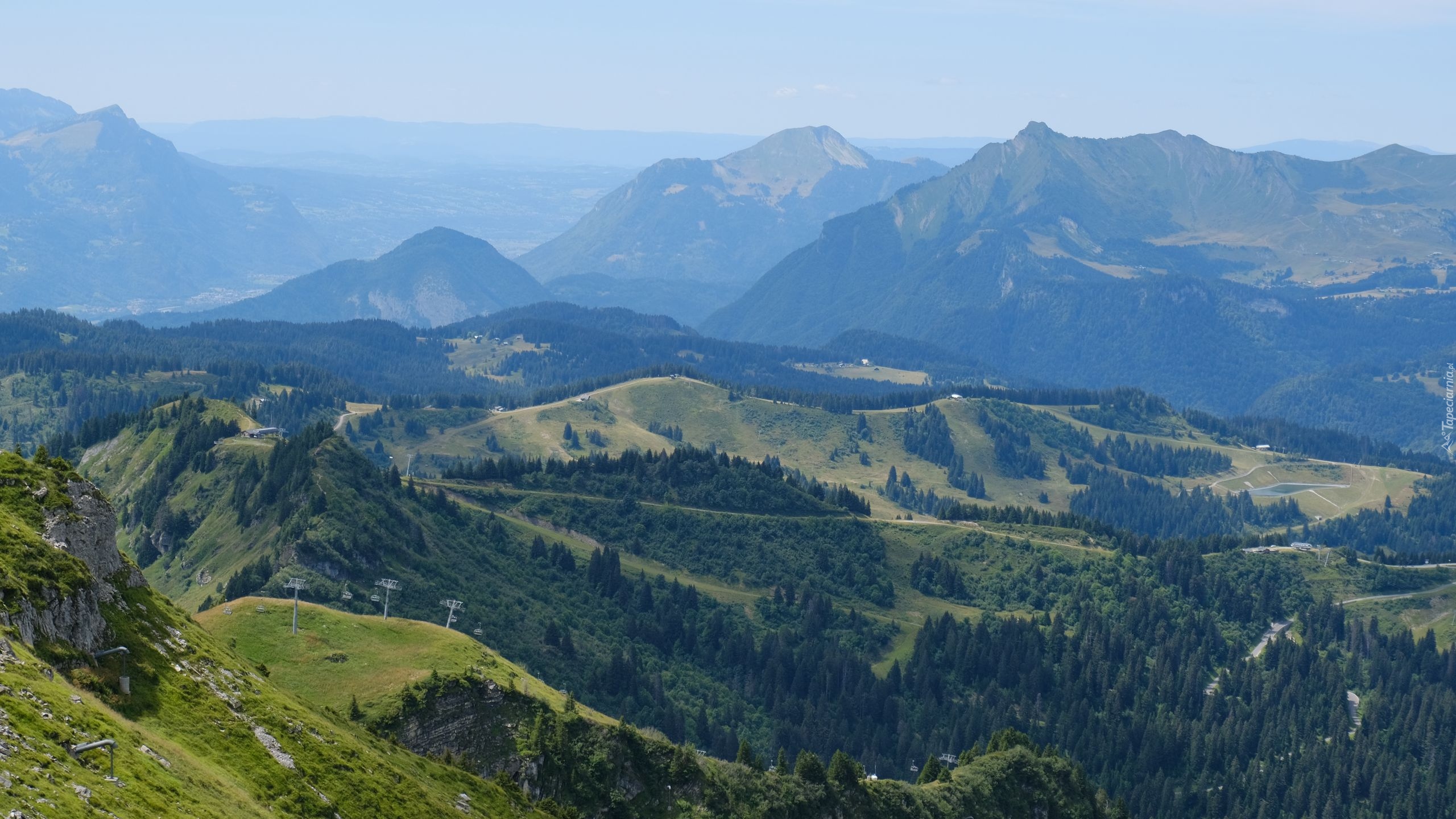 Góry, Wzgórza, Zbocza, Lasy, Drzewa