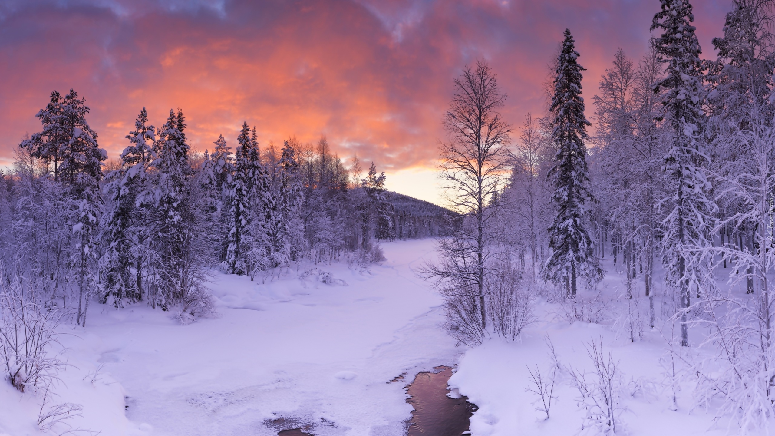 Finlandia, Laponia, Zima, Las, Rzeczka