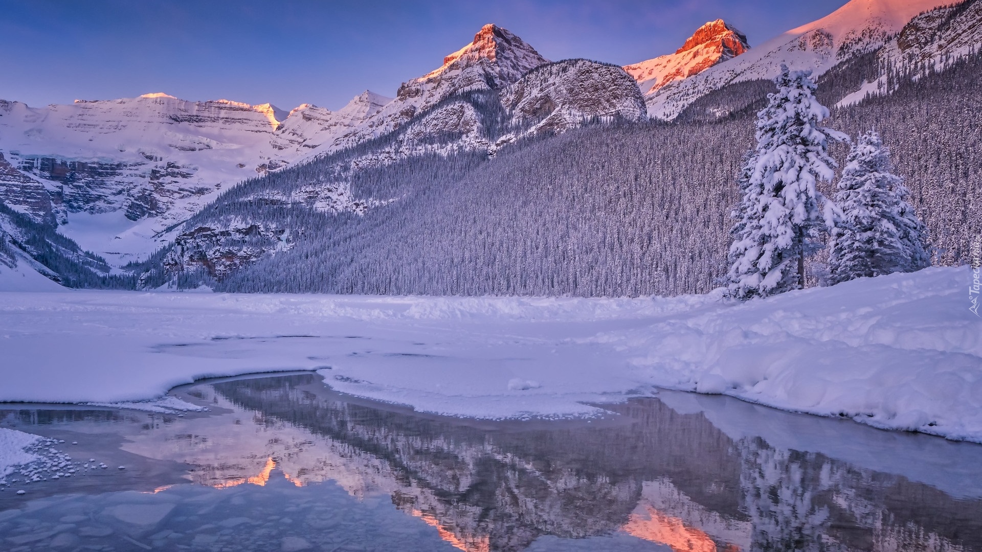 Zima, Góry, Ośnieżone, Drzewa, Zamarznięte, Jezioro, Lake Louise, Odbicie, Park Narodowy Banff, Alberta, Kanada