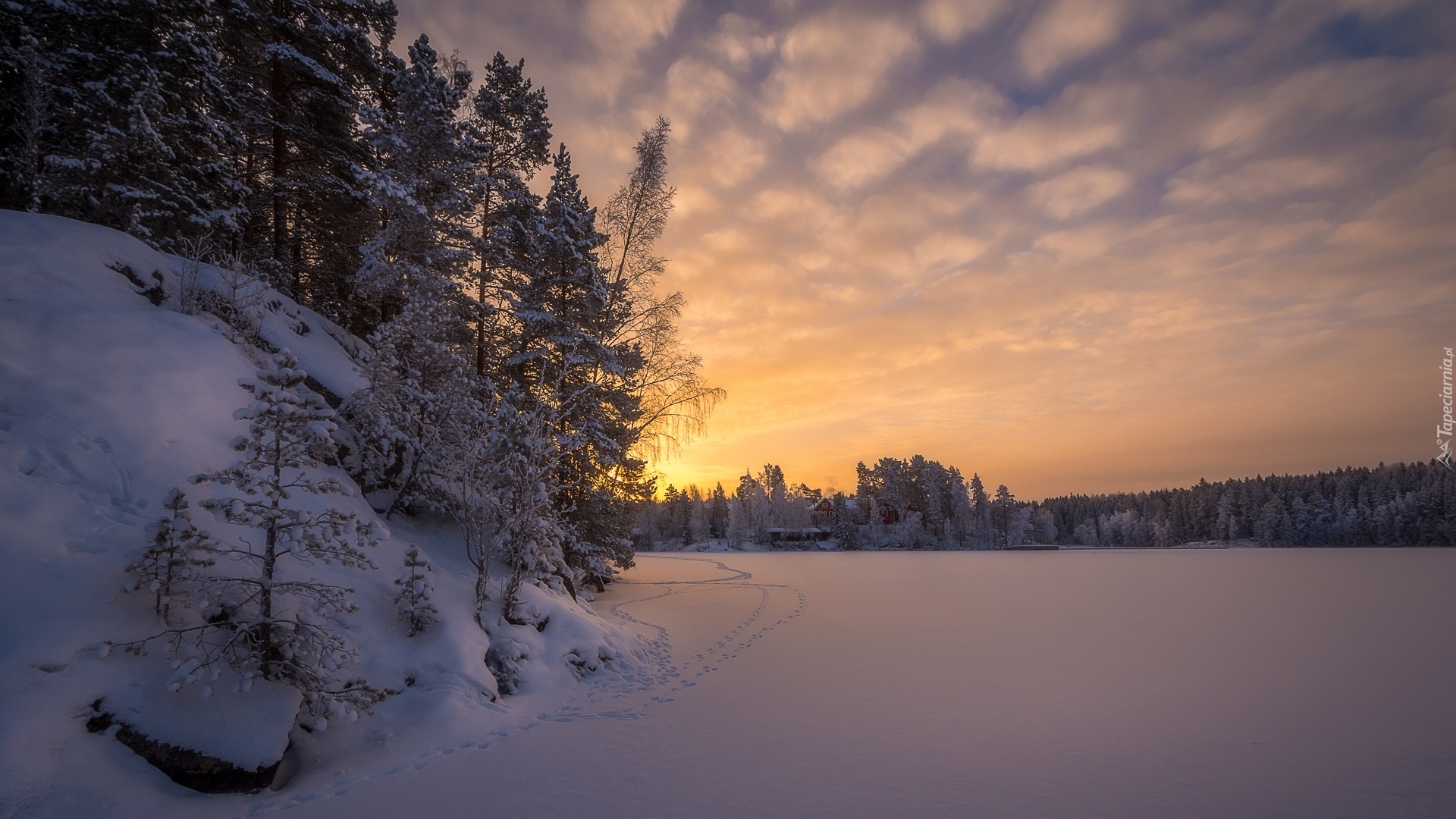 Finlandia, Tampere, Rejon Pirkanmaa, Zamarznięte, Jezioro Näsijärvi, Ślady, Świt, Wschód słońca, Zima, Las, Drzewa, Domy