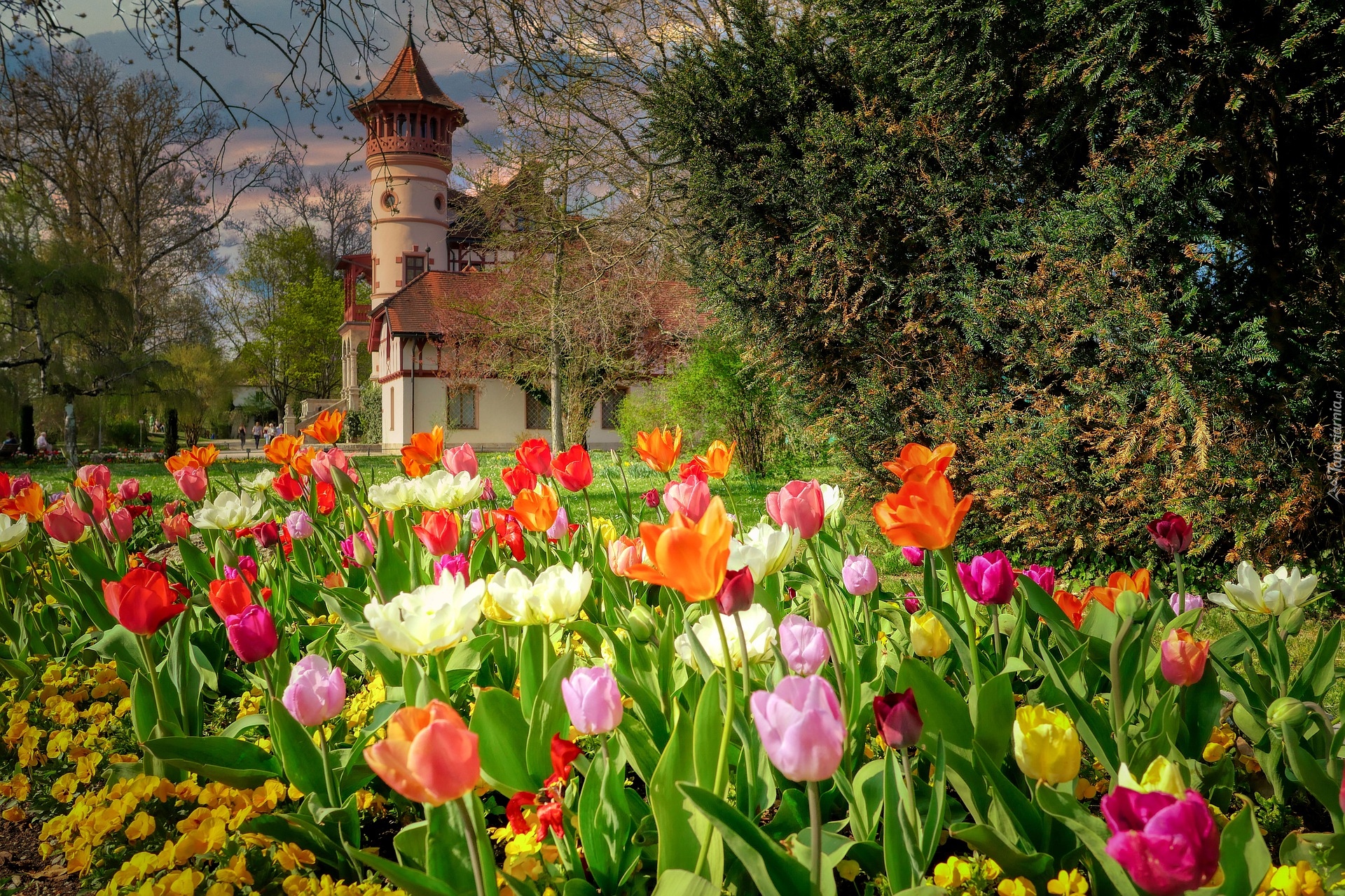 Kwiaty, Tulipany, Wiosna, Zameczek Scheuermanna, Park, Herrsching am Ammersee, Bawaria, Niemcy