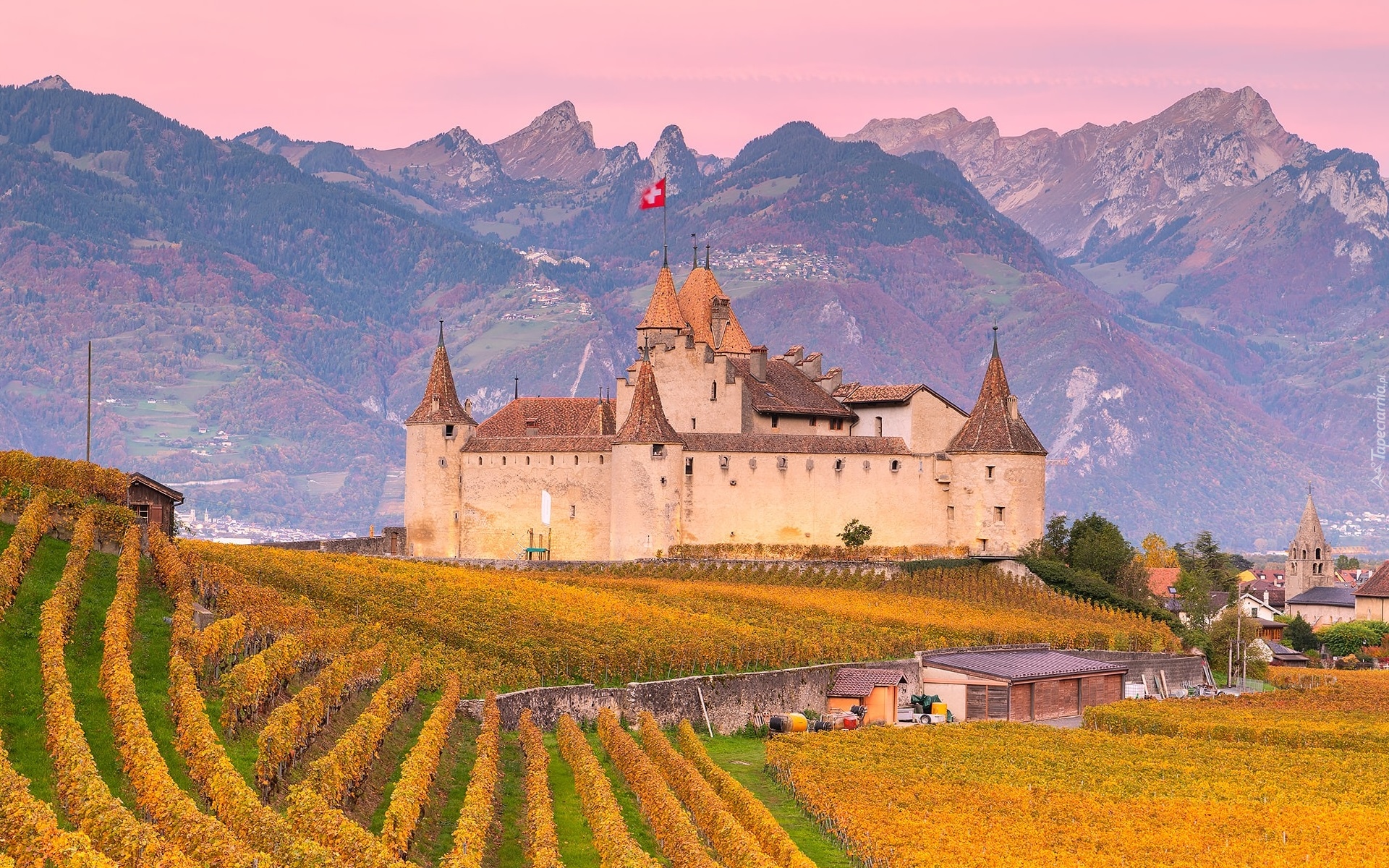 Szwajcaria, Region Chablais Vaudois, Góry, Zamek, Aigle Castle, Plantacja, Winnice