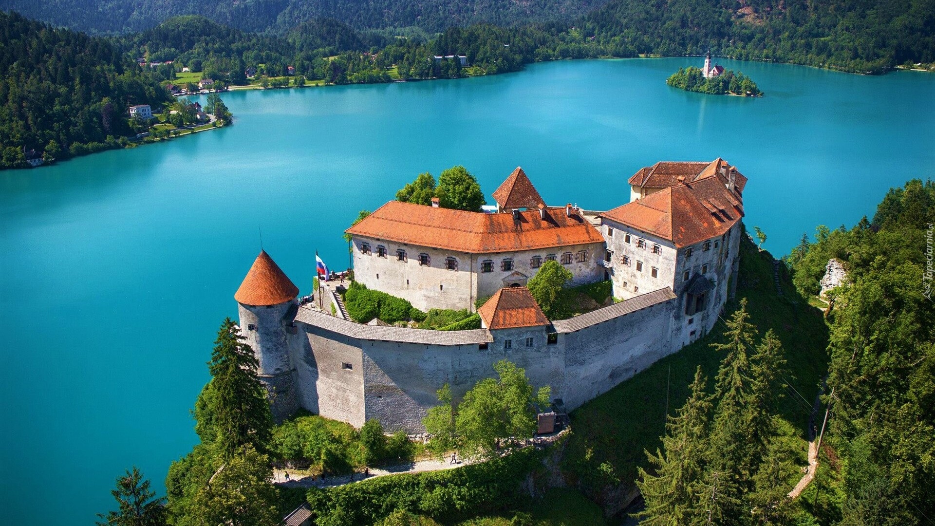 Słowenia, Jezioro Bled, Zamek Bled, Wyspa Blejski Otok, Drzewa