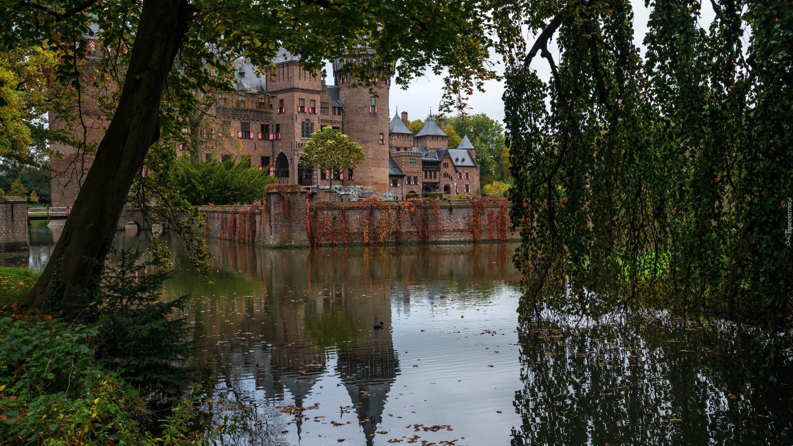 Zamek de Haar, Park, Drzewa, Staw, Haarzuilens, Gmina Utrecht, Holandia
