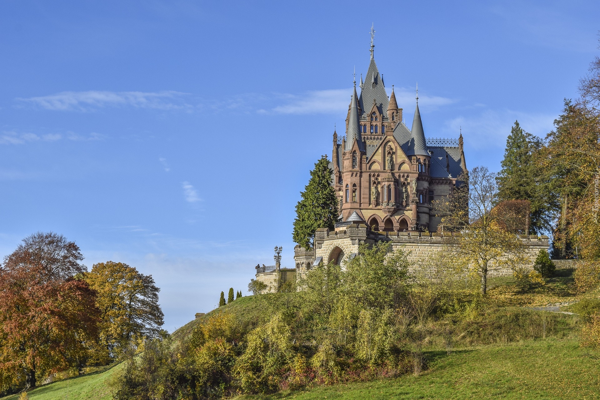 Zamek Drachenburg, Drzewa, Konigswinter, Powiat Rhein-Sieg, Niemcy