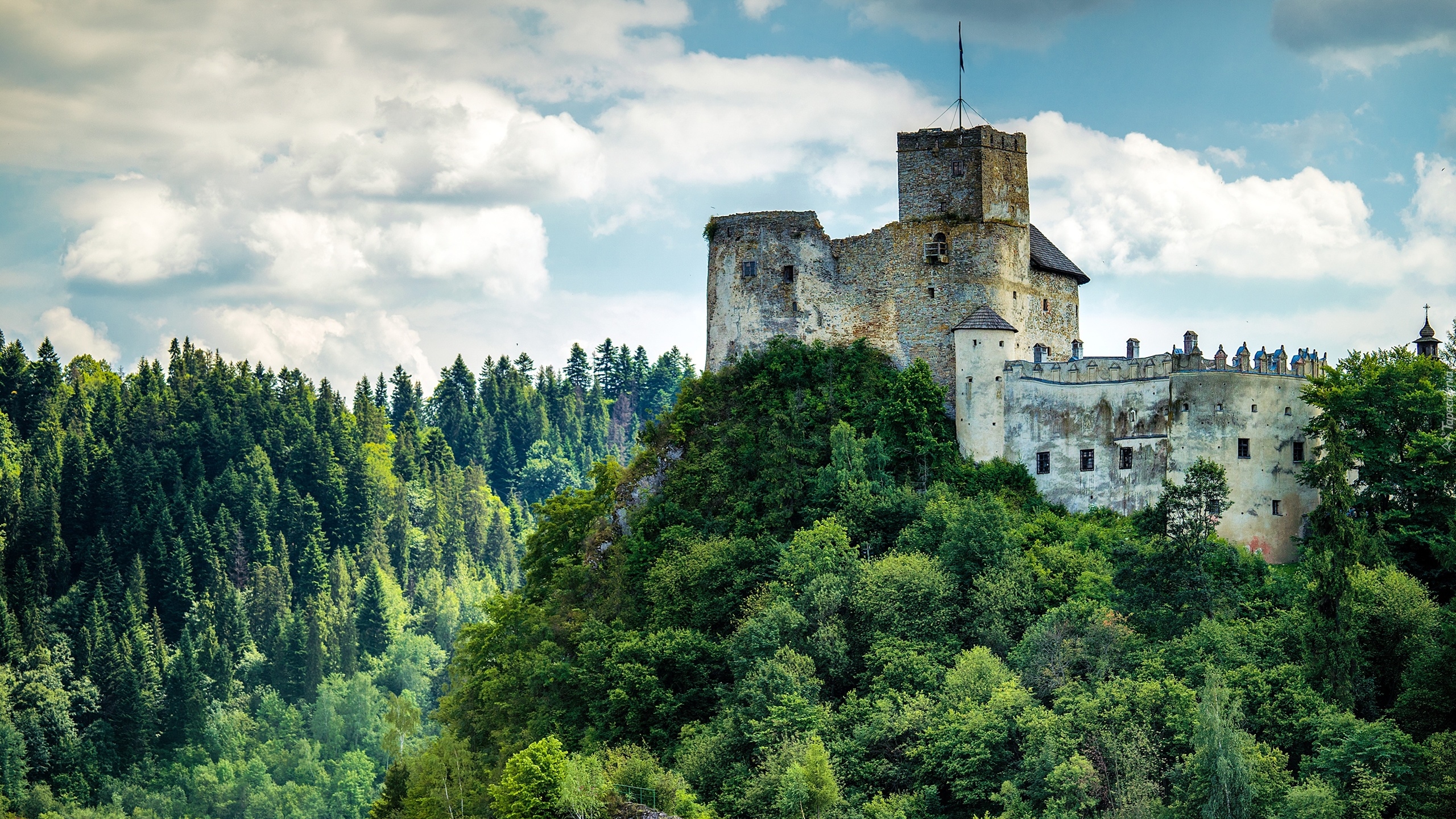 Drzewa, Zamek Dunajec, Niedzica, Powiat nowotarski, Polska