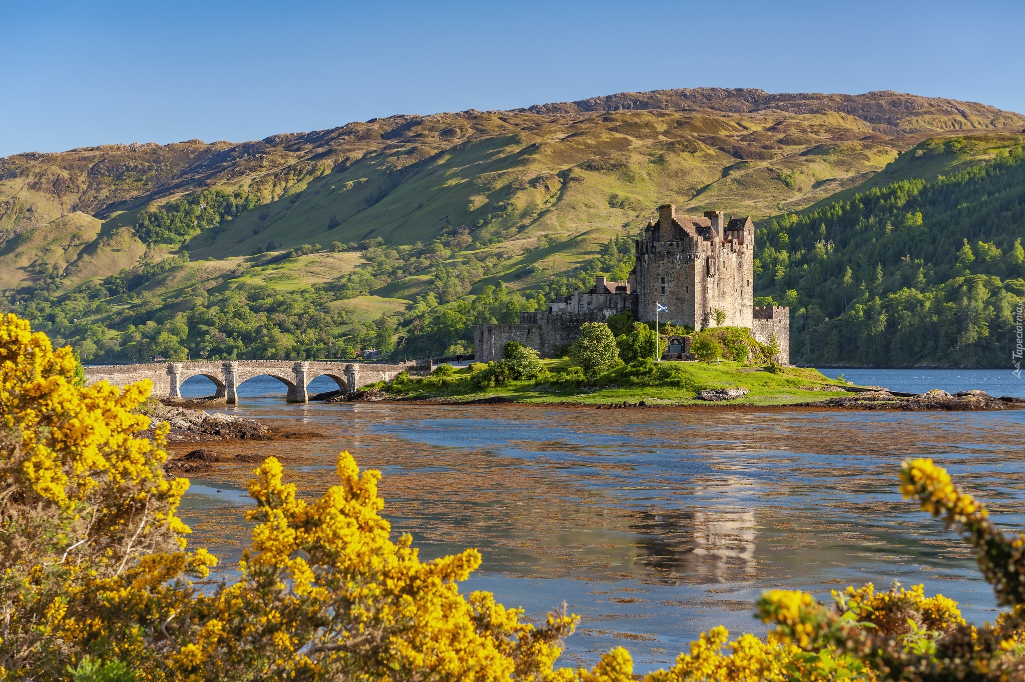 Jesień, Szkocja, Zamek, Eilean Donan Castle, Most, Wzgórza, Jezioro, Loch Duich Eilean Donan, Las, Drzewa