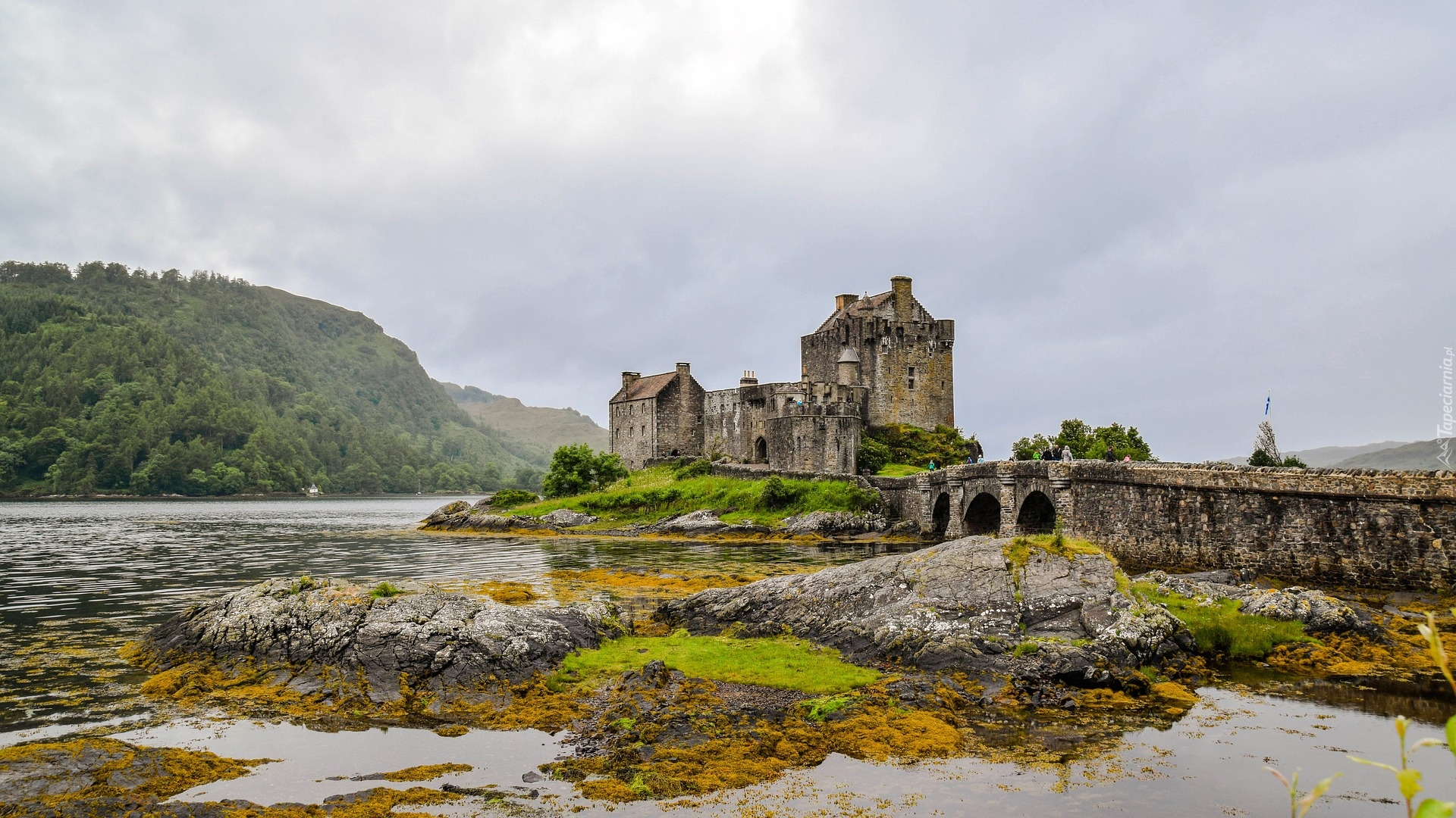 Szkocja, Zamek Eilean Donan, Jezioro Loch Duich, Kamienny, Most