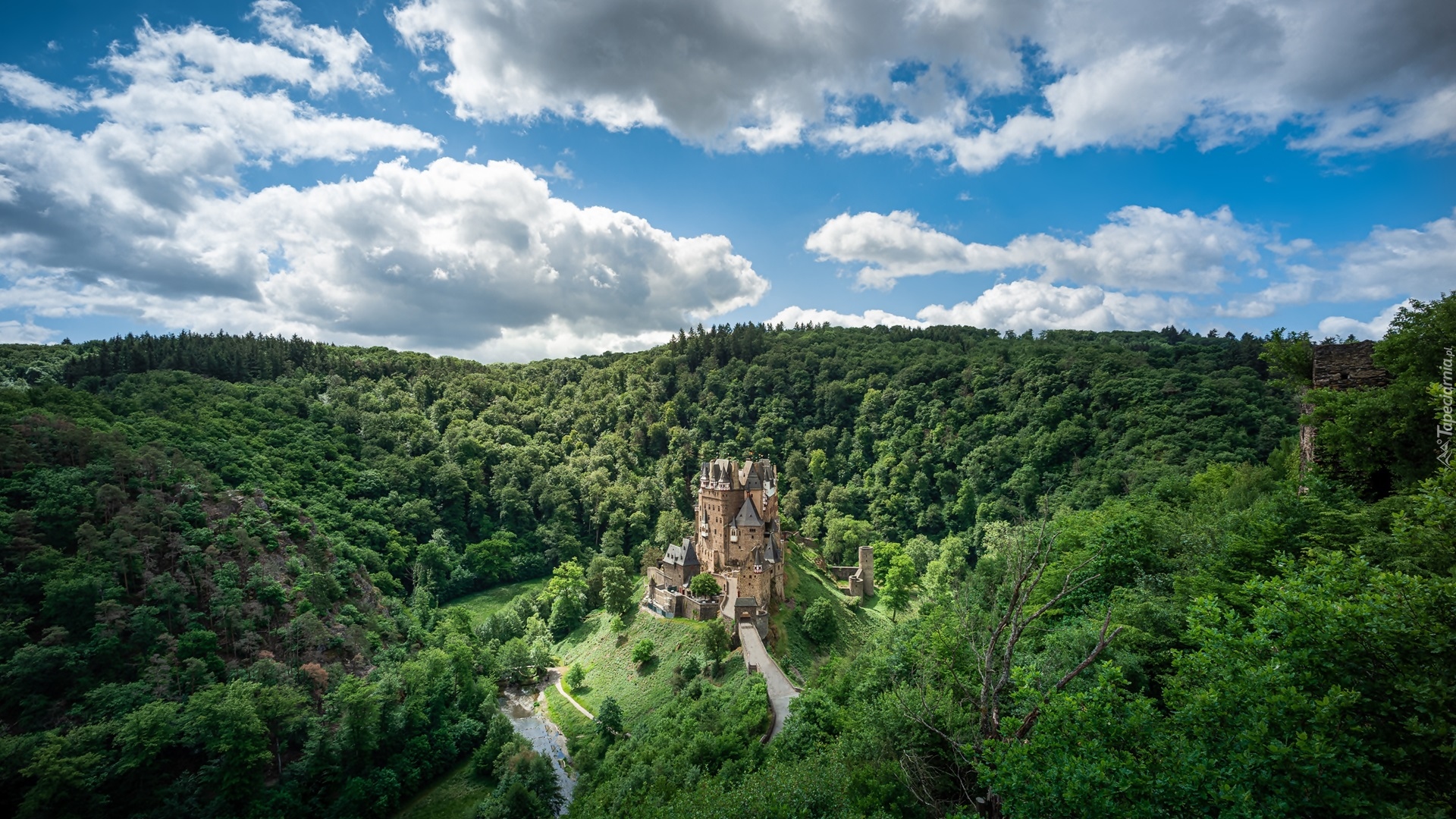 Zamek Eltz, Drzewa, Las, Chmury, Gmina Wierschem, Nadrenia-Palatynat, Niemcy