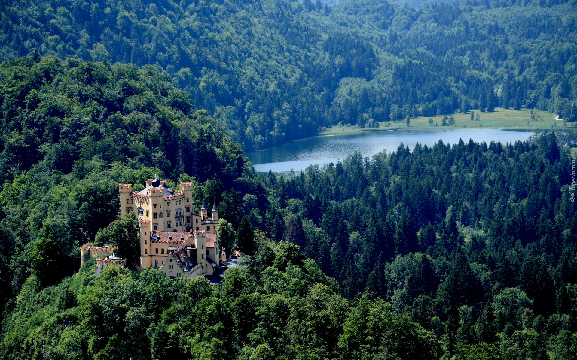 Góry, Lasy, Drzewa, Zamek Hohenschwangau, Jezioro Alpsee, Bawaria, Niemcy