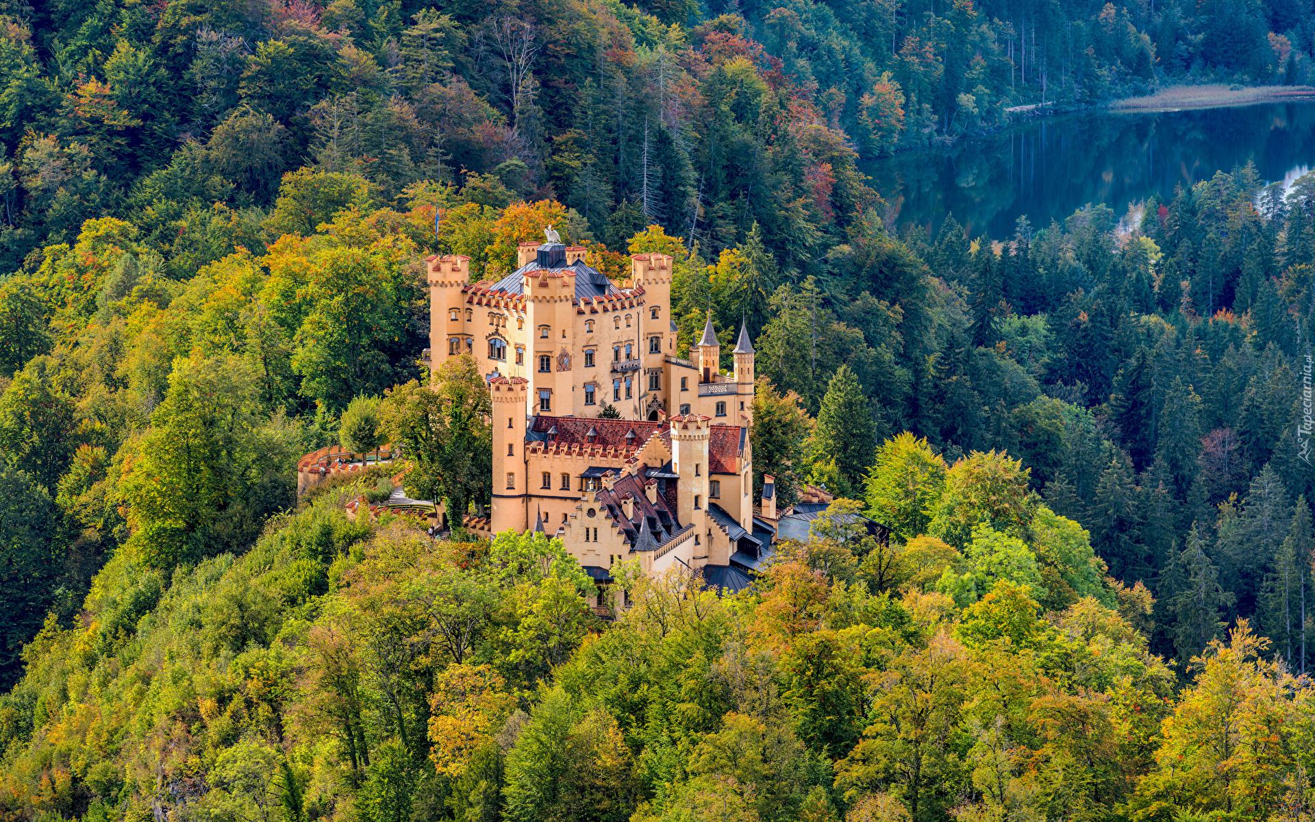 Niemcy, Bawaria, Góry, Alpy Bawarskie, Las, Zamek Hohenschwangau