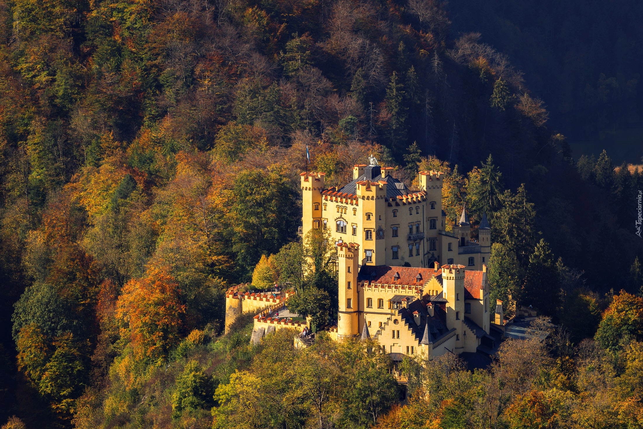 Zamek Hohenschwangau, Las, Gmina Schwangau, Bawaria, Niemcy, Bawaria