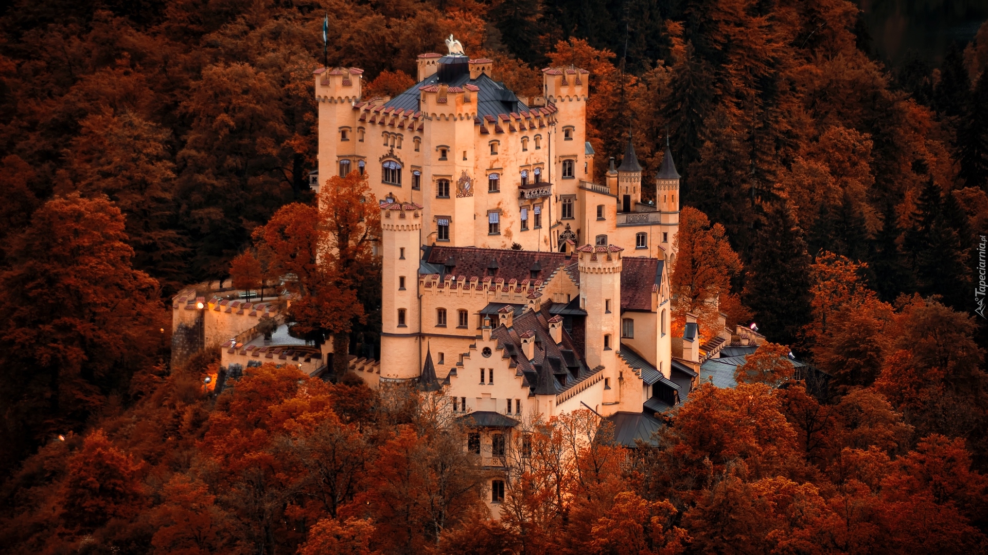 Zamek Hohenschwangau, Las, Jesień, Gmina Schwangau, Bawaria, Niemcy