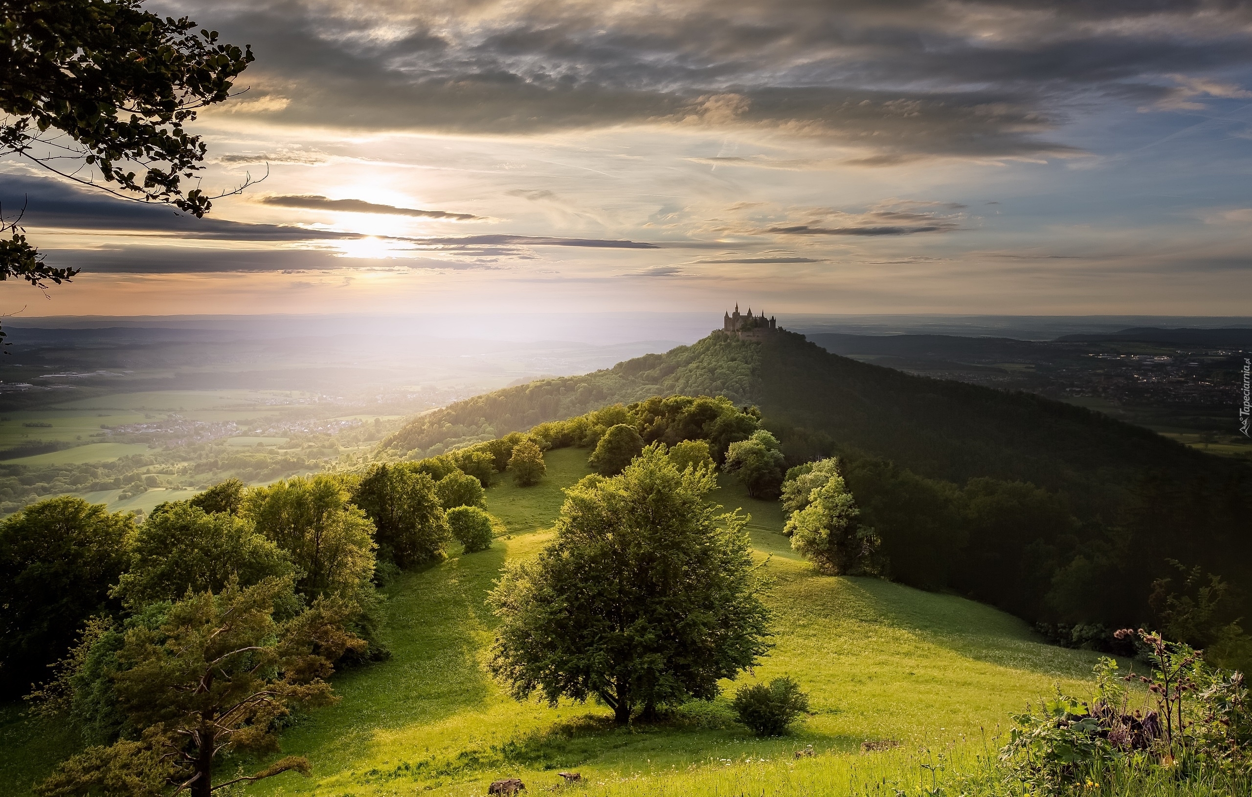 Niemcy, Badenia-Wirtembergia, Góry, Góra Hohenzollern, Zamek Hohenzollern, Drzewa, Wschód słońca
