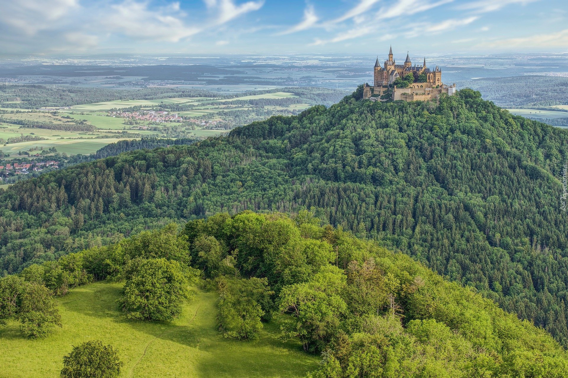 Zalesiona, Góra Hohenzollern, Zamek Hohenzollern, Drzewa, Wzgórze, Badenia-Wirtembergia, Niemcy