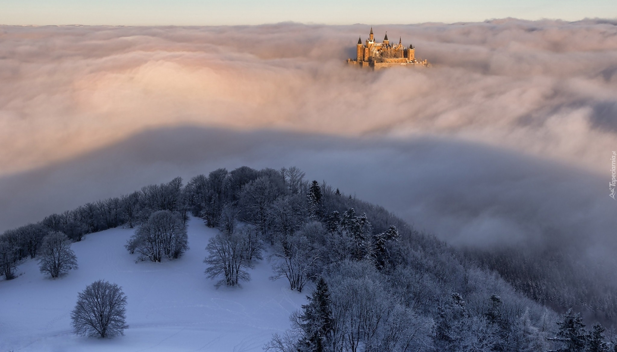 Niemcy, Badenia-Wirtembergia, Góra Hohenzollern, Zamek Hohenzollern,  Zima, Mgła, Góra, Oszronione, Drzewa