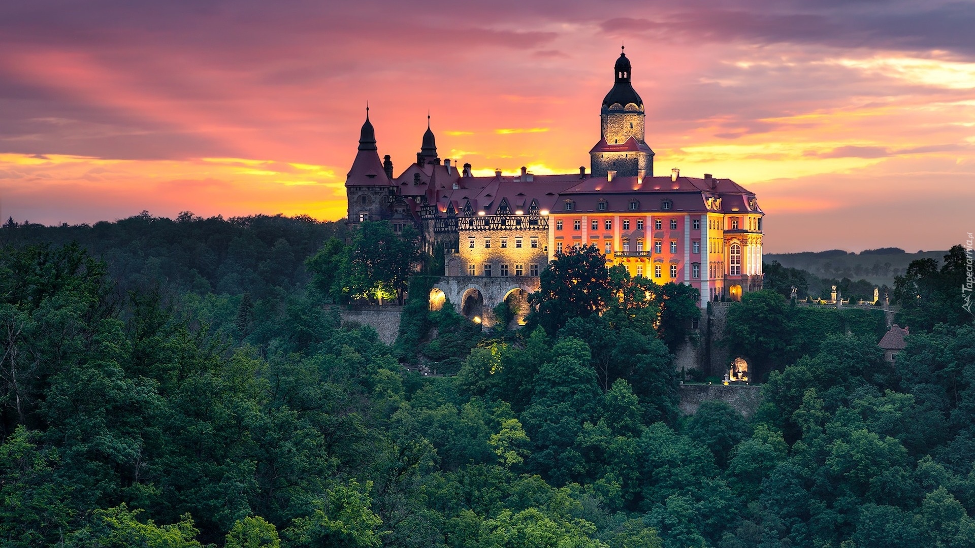 Polska, Wałbrzych, Zamek Książ, Drzewa