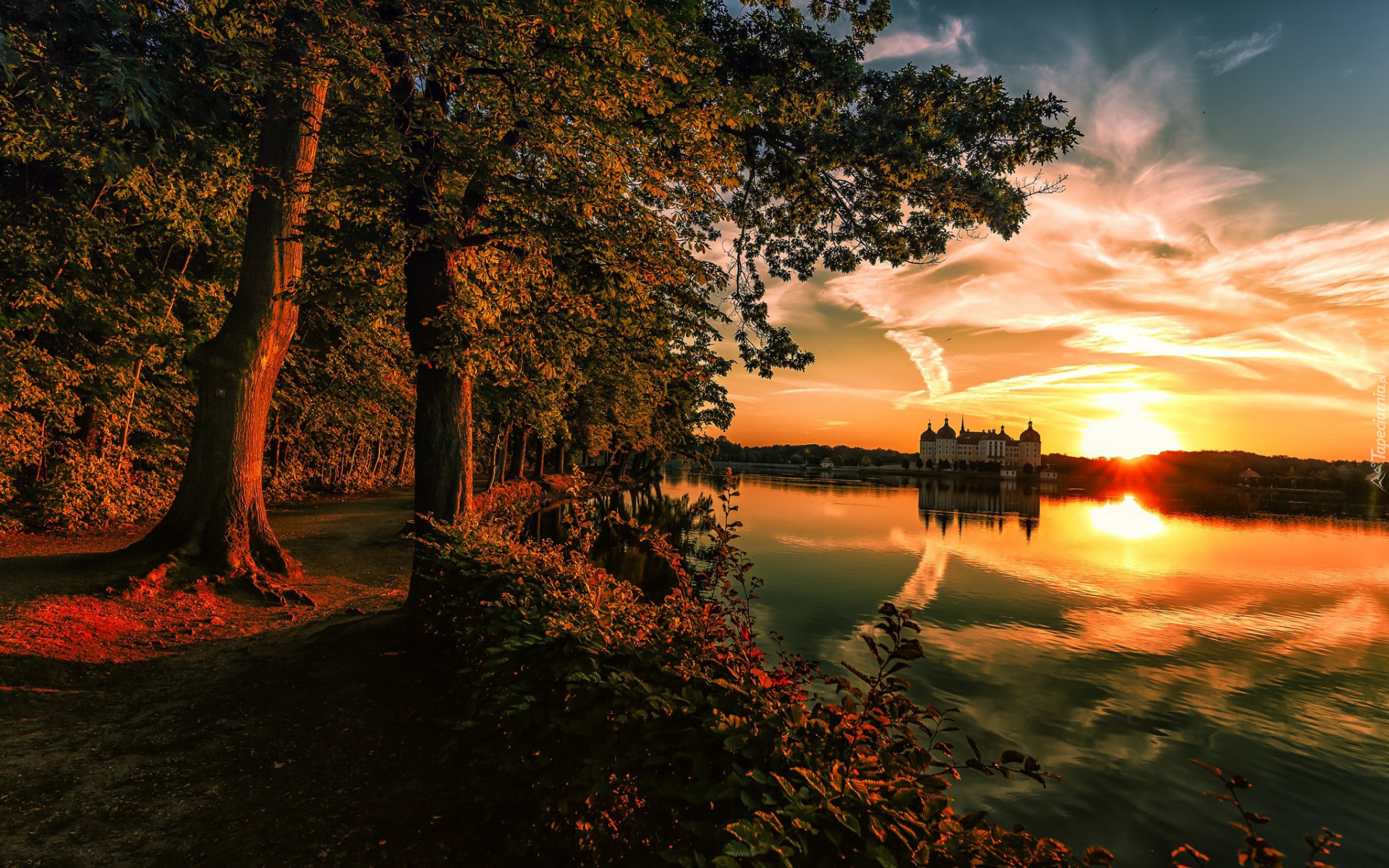 Zachód słońca, Drzewa, Jezioro Waldesee, Pałac Moritzburg, Chmury, Odbicie, Niemcy