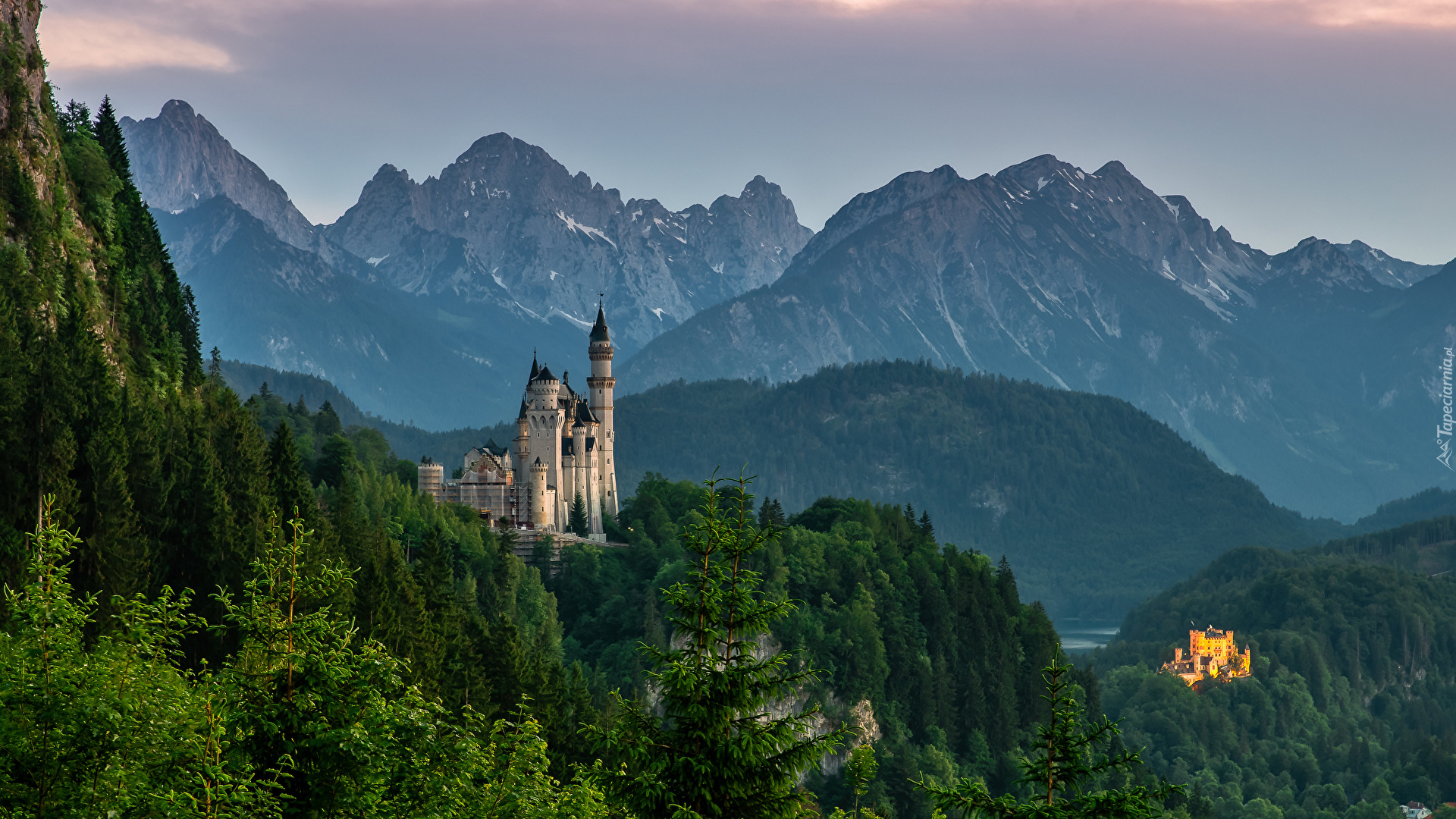 Niemcy, Bawaria, Góry, Alpy, Zamek Neuschwanstein, Zamek Hohenschwangau, Lasy, Drzewa