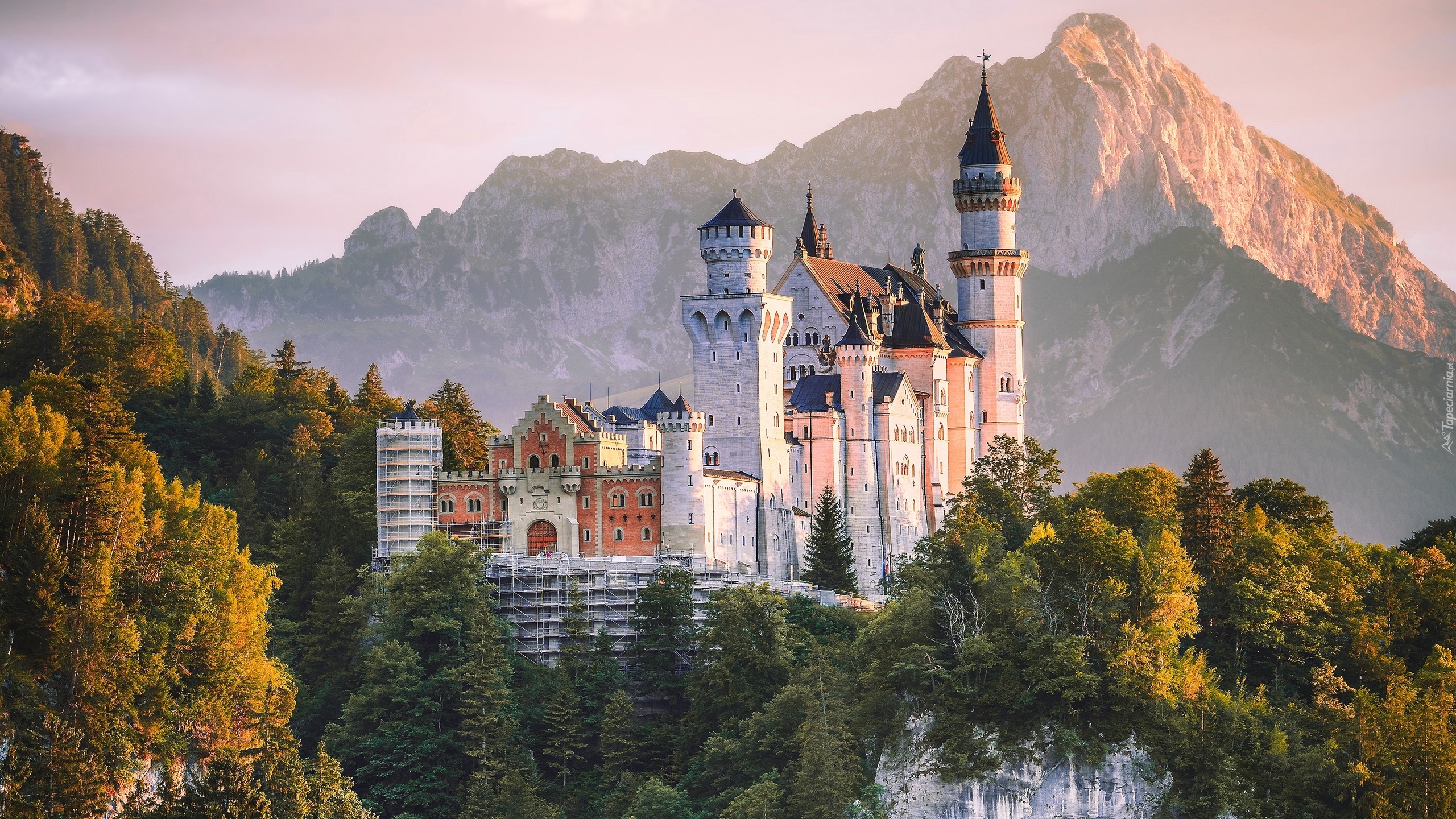 Zamek Neuschwanstein, Wzgórze, Skały, Lasy, Drzewa, Jesień, Góry, Alpy, Gmina Schwangau, Bawaria, Niemcy