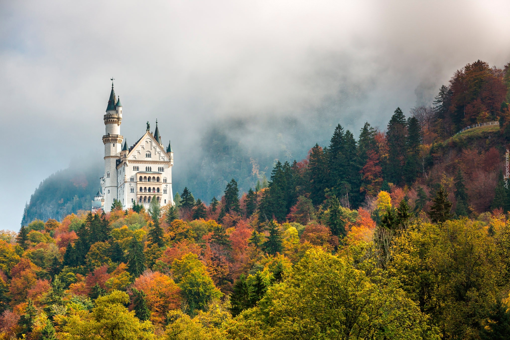 Niemcy, Bawaria, Zamek Neuschwanstein, Jesień, Mgła, Las, Drzewa