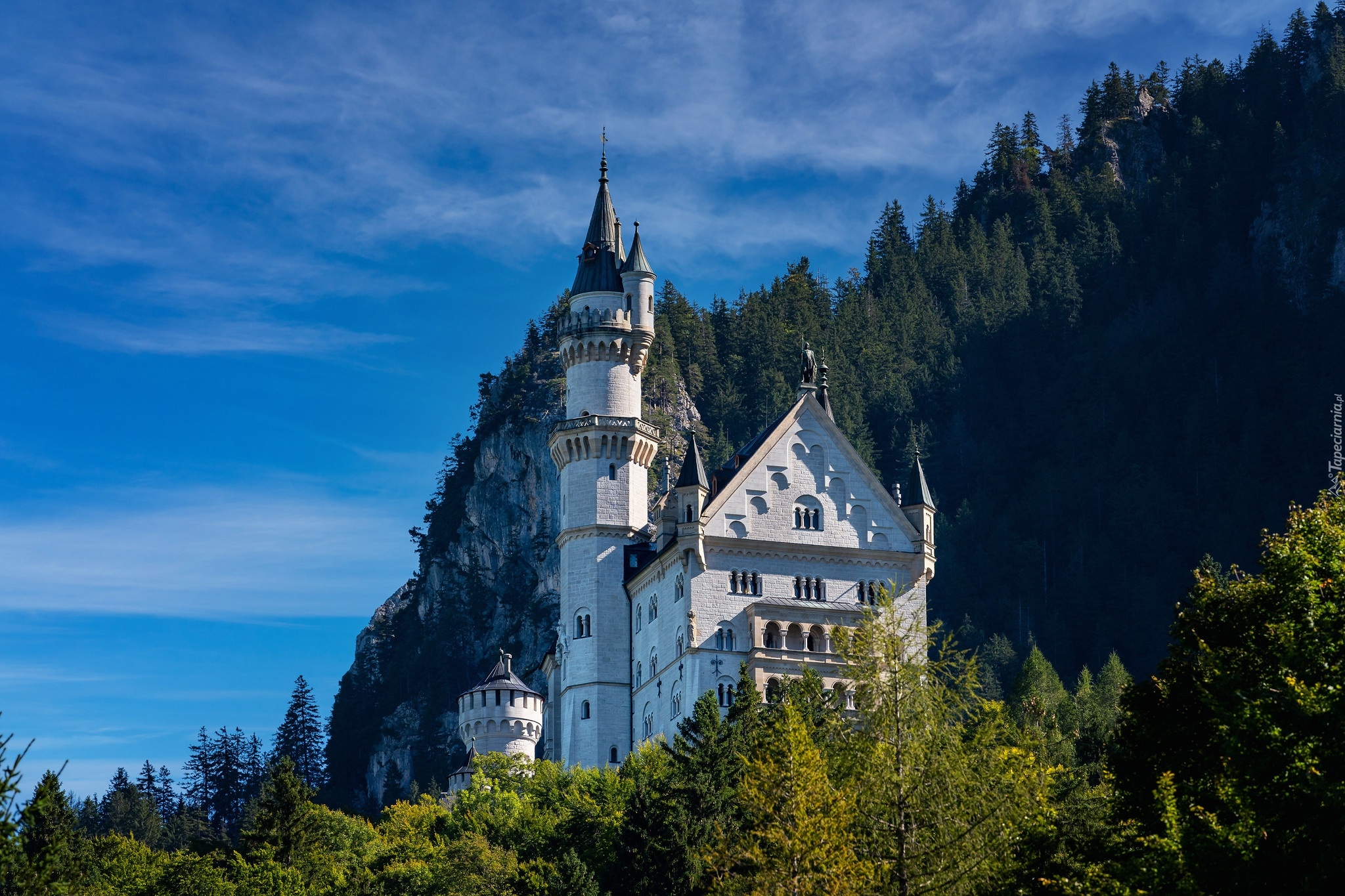 Drzewa, Zamek Neuschwanstein, Gmina Schwangau, Bawaria, Niemcy