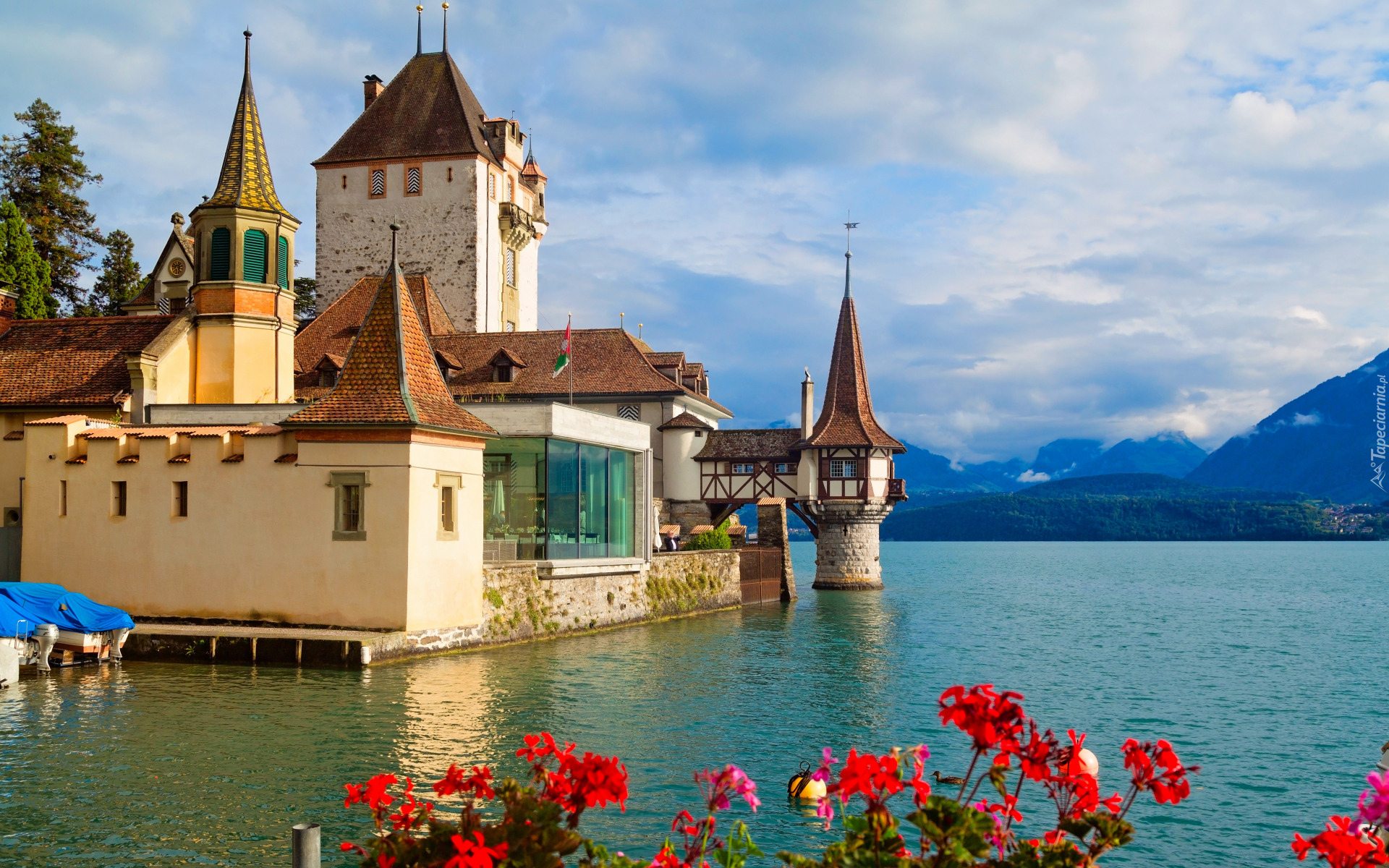 Szwajcaria, Góry, Alpy, Chmury, Zamek Oberhofen, Jezioro Thunersee, Kwiaty