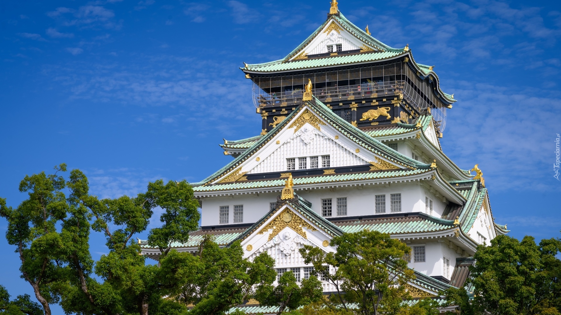 Zamek Osaka, Osaka-jo, Brokatowy zamek, Wieża główna, Tenshu, Drzewa, Błękitne, Niebo, Osaka, Japonia